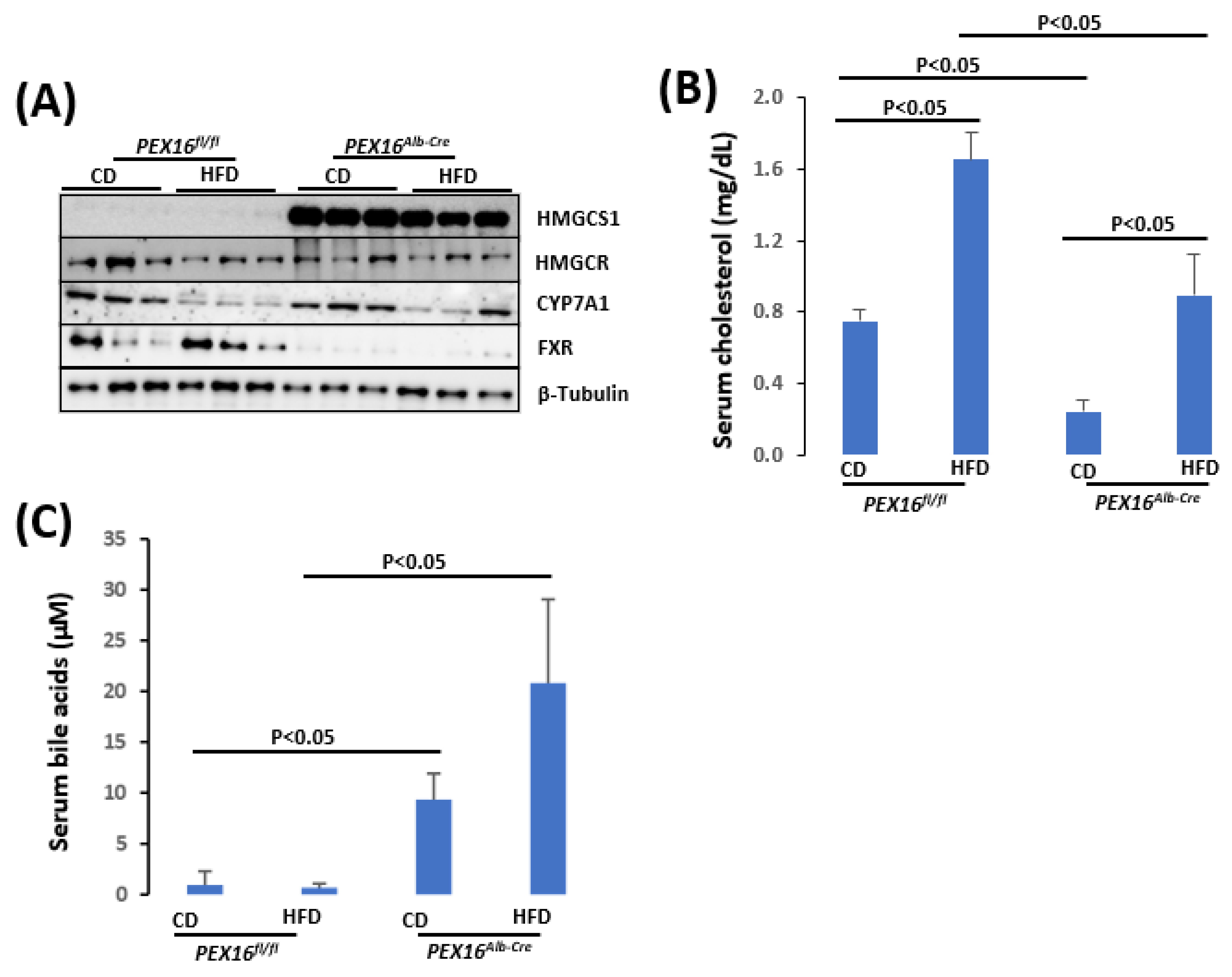 Preprints 101496 g006