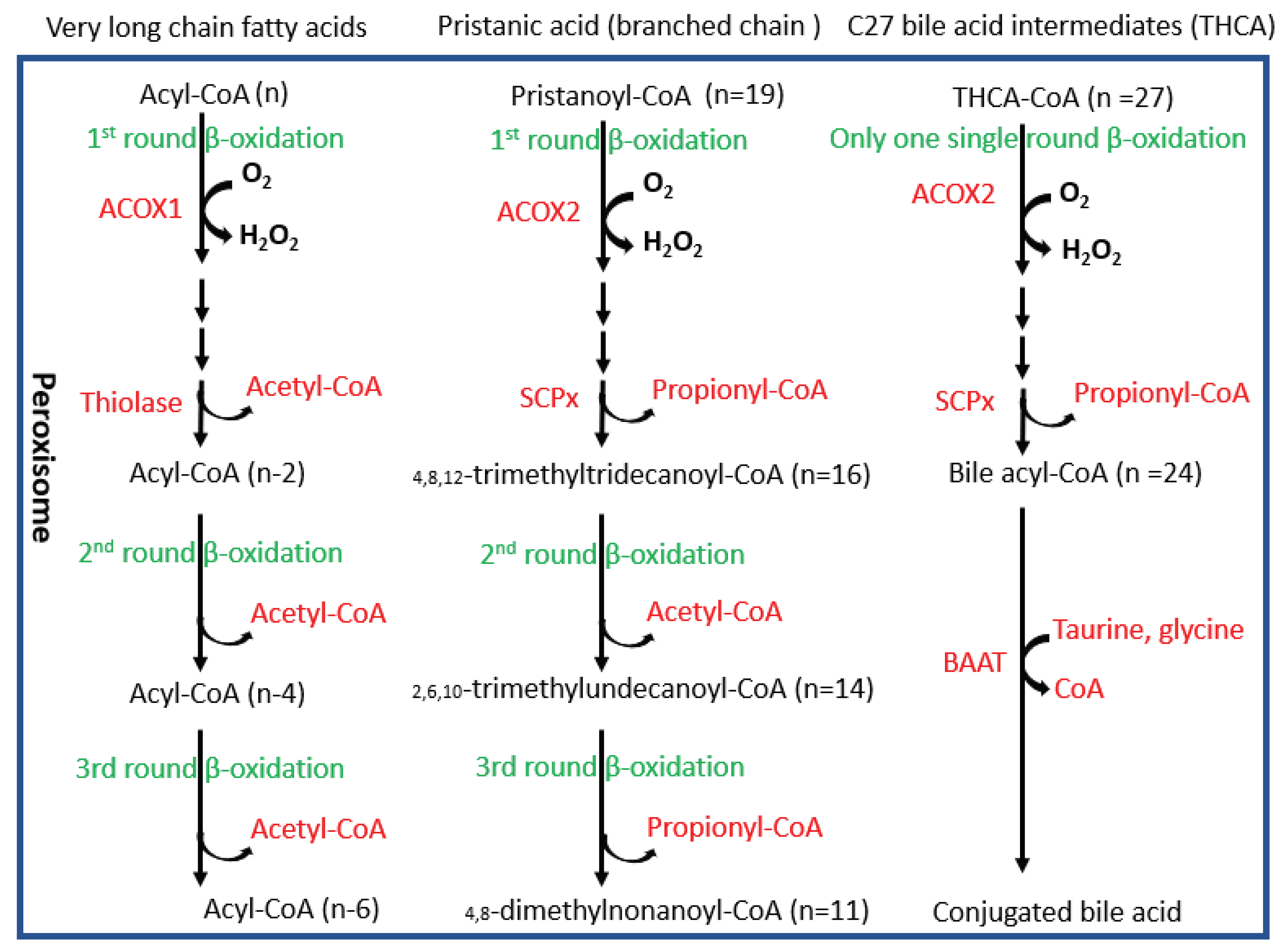 Preprints 101496 g009