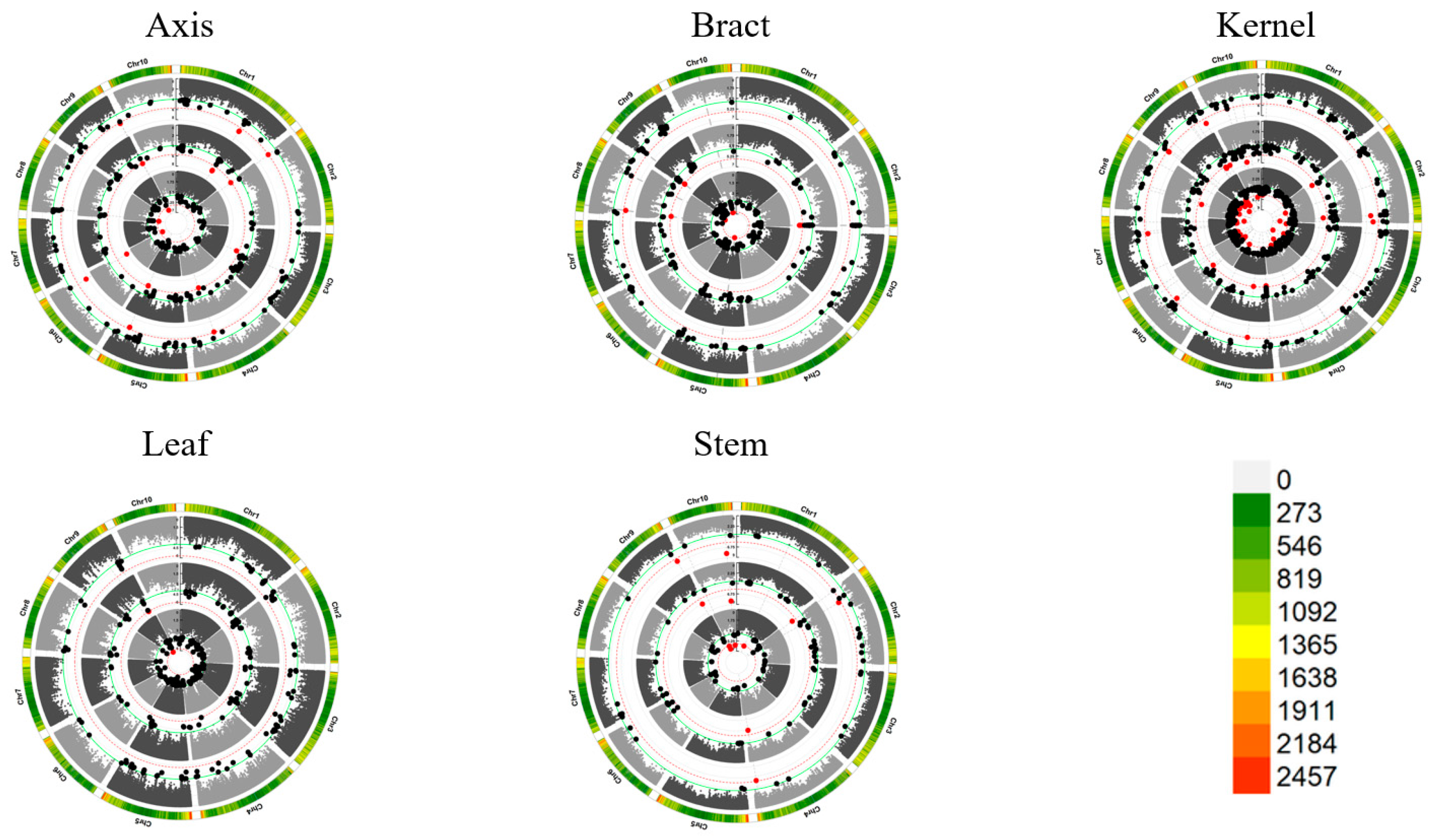 Preprints 96048 g002