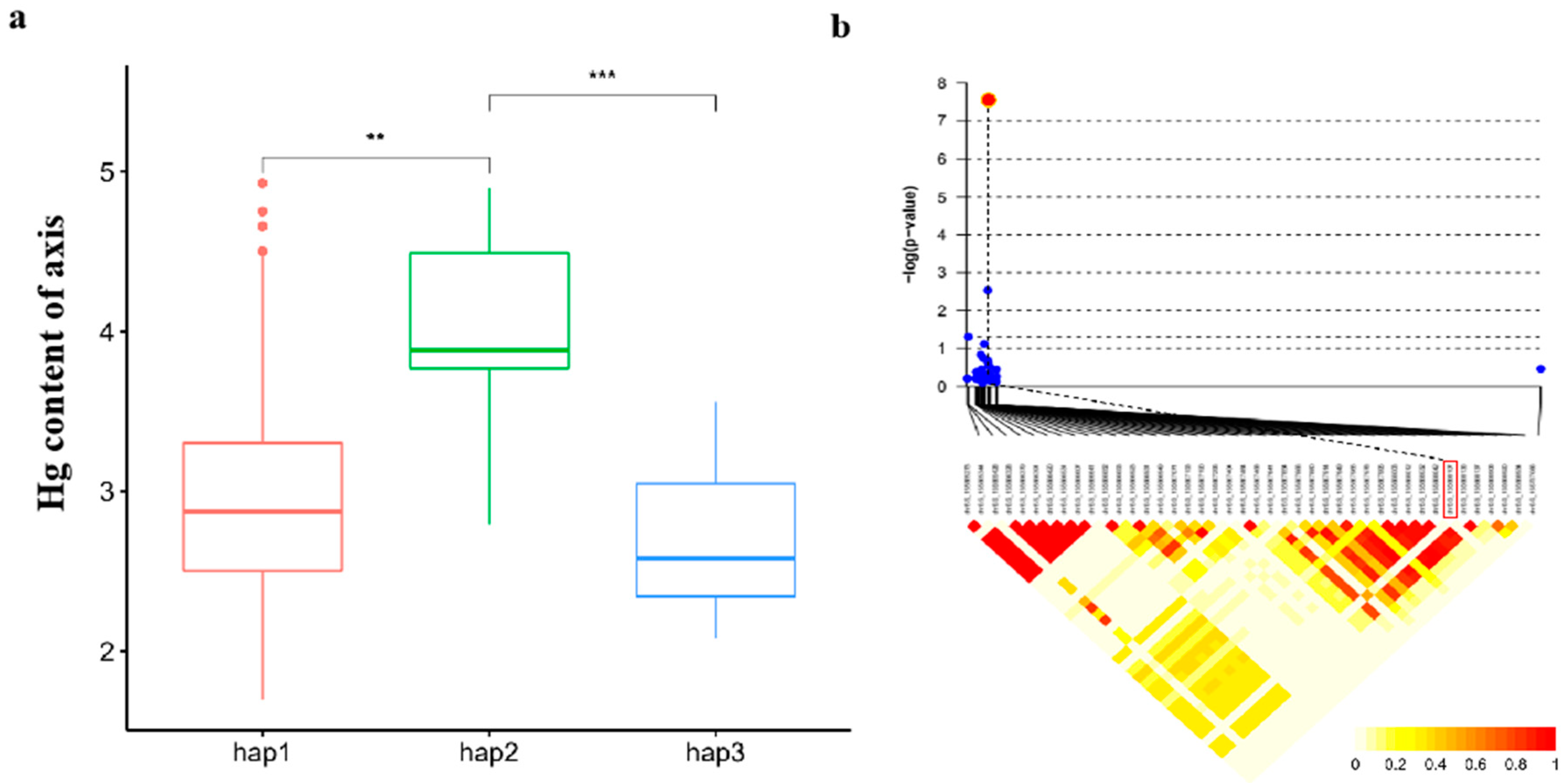 Preprints 96048 g006