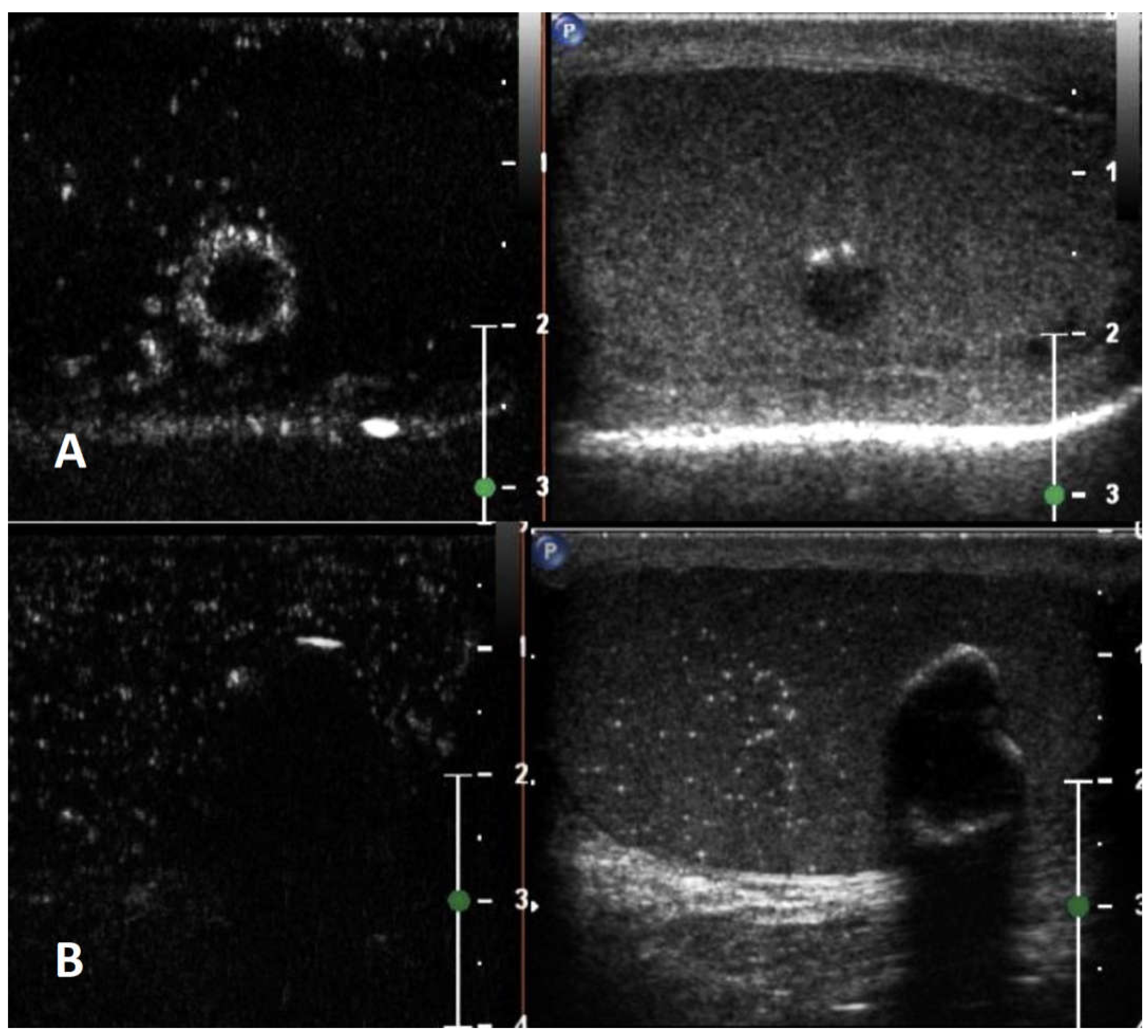 Preprints 84042 g002