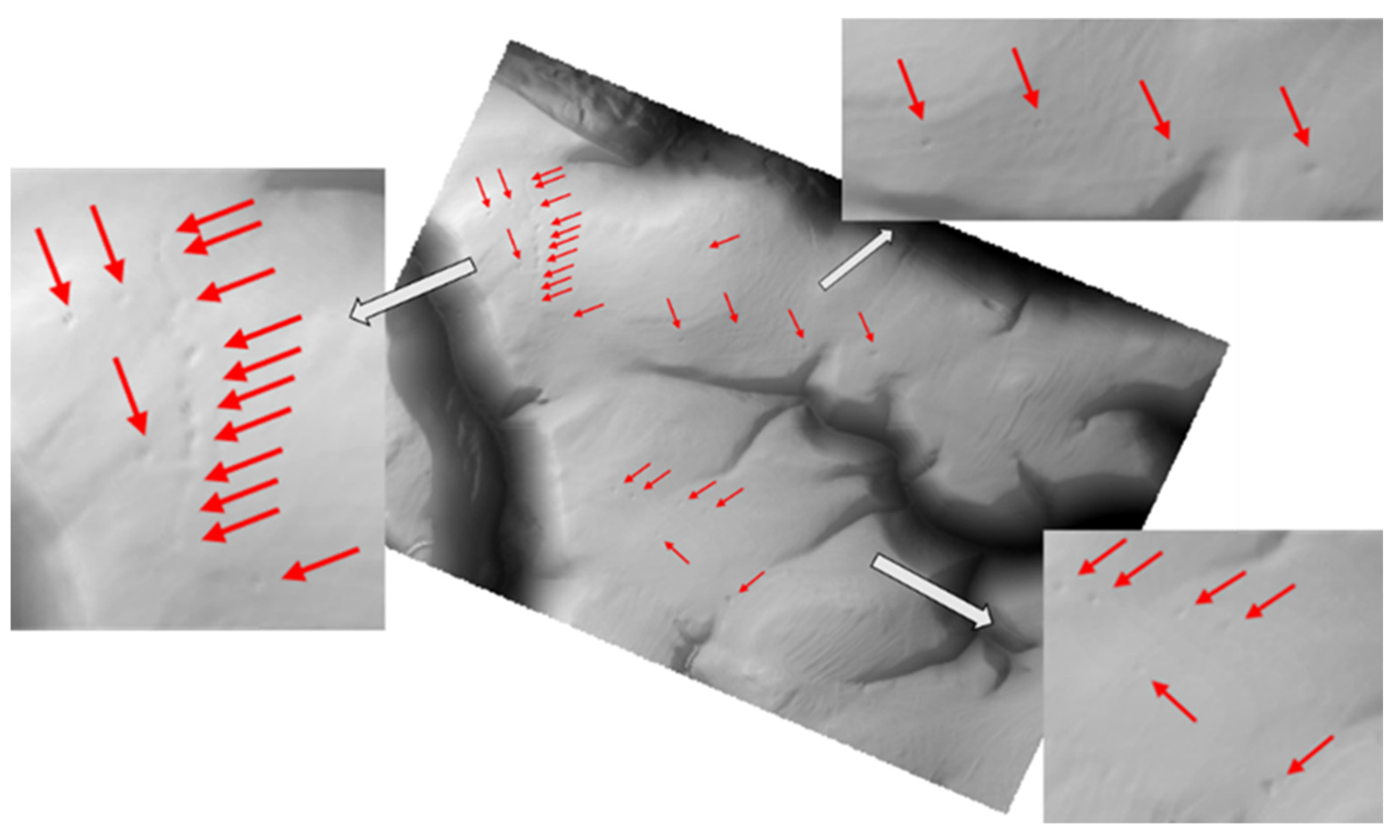 Preprints 93998 g005