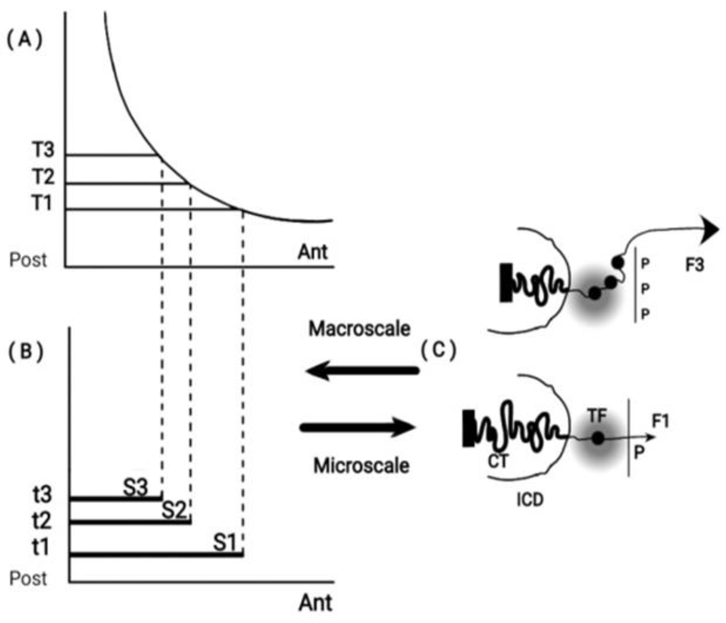 Preprints 91908 g001