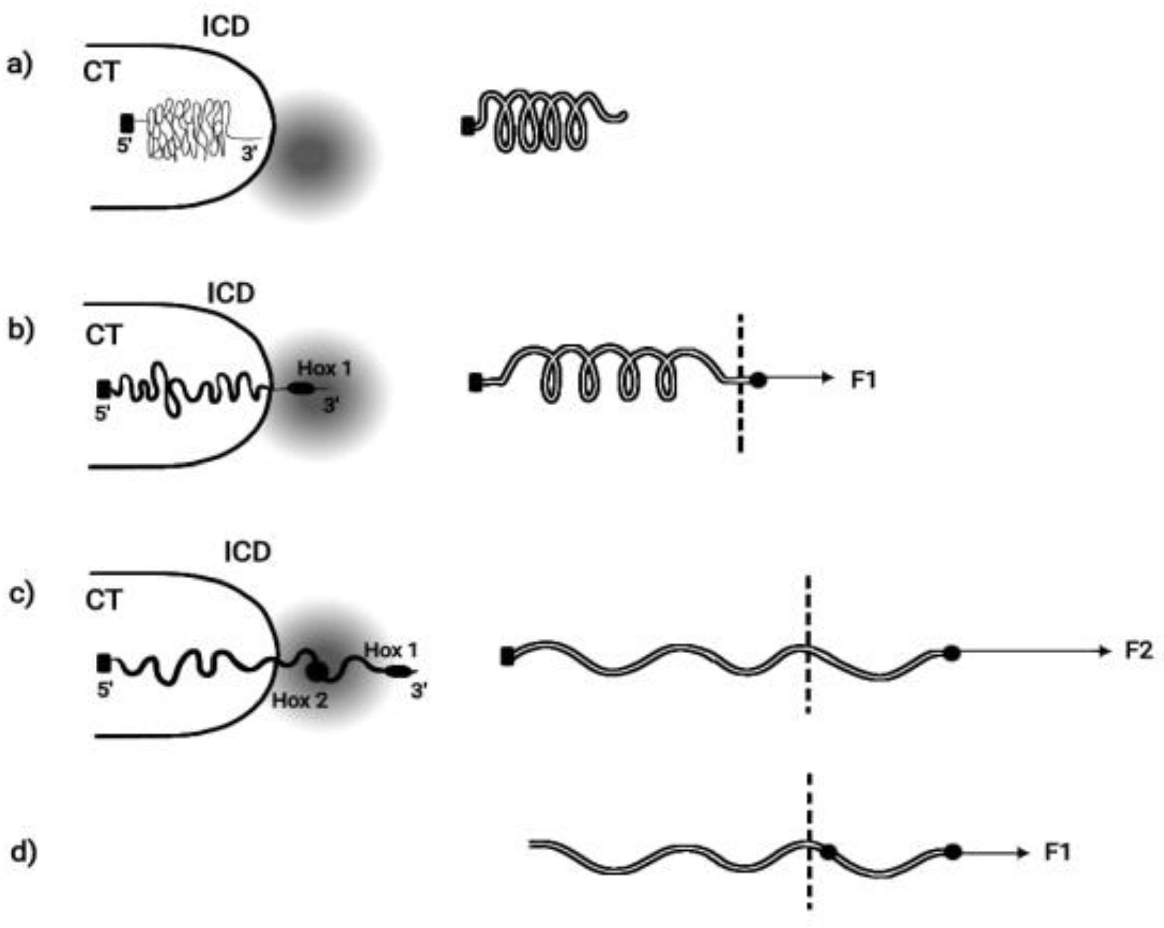 Preprints 91908 g002