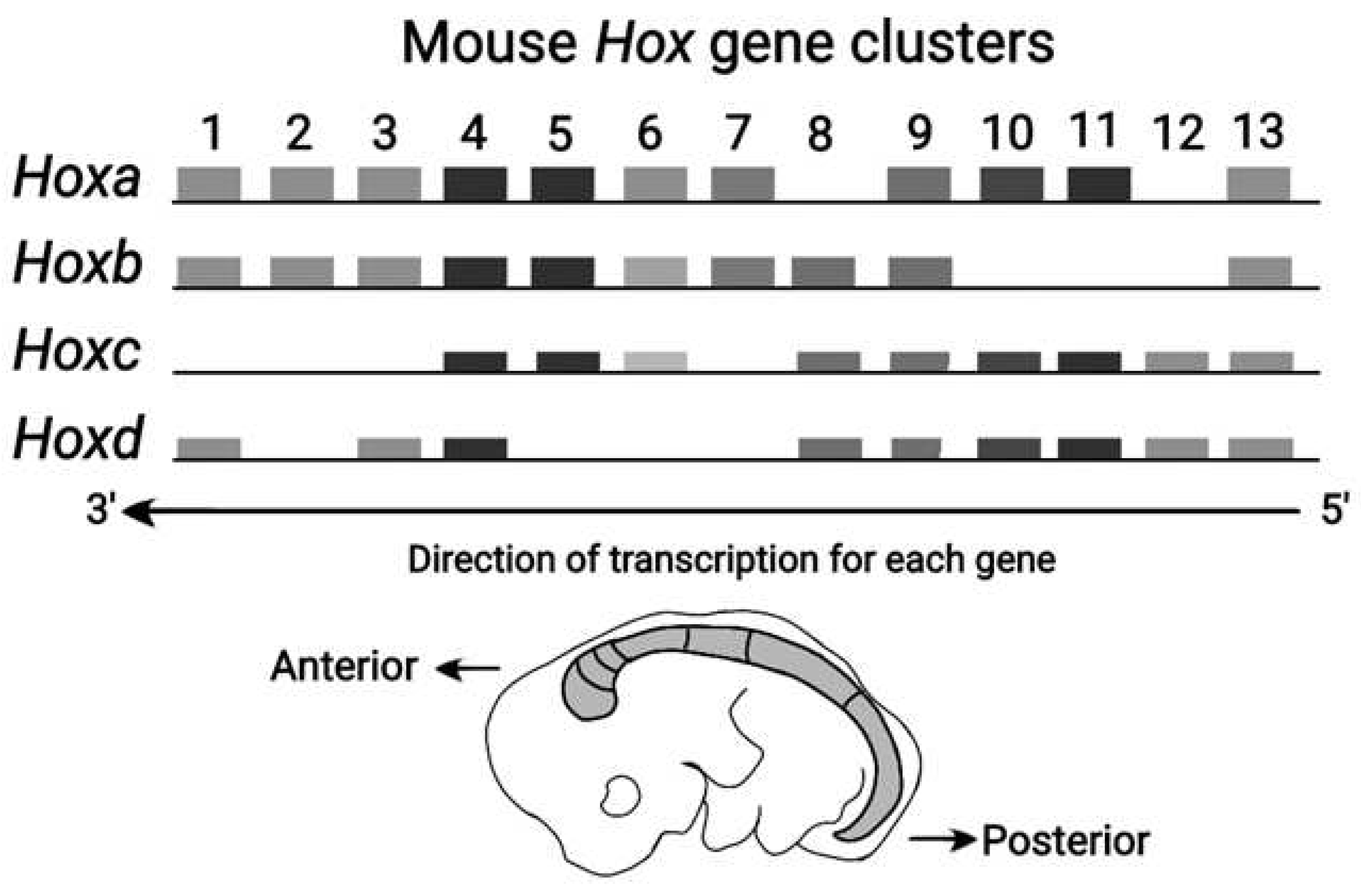 Preprints 91908 g003