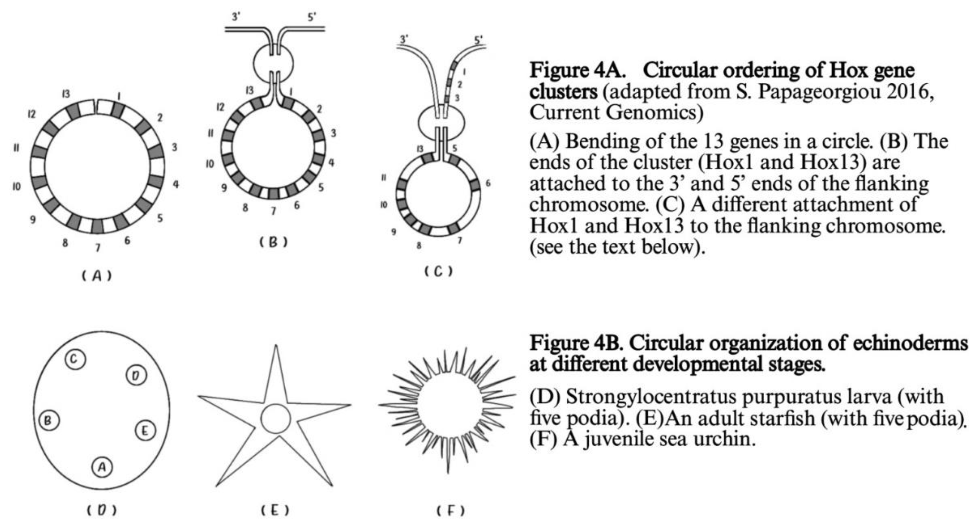 Preprints 91908 g004