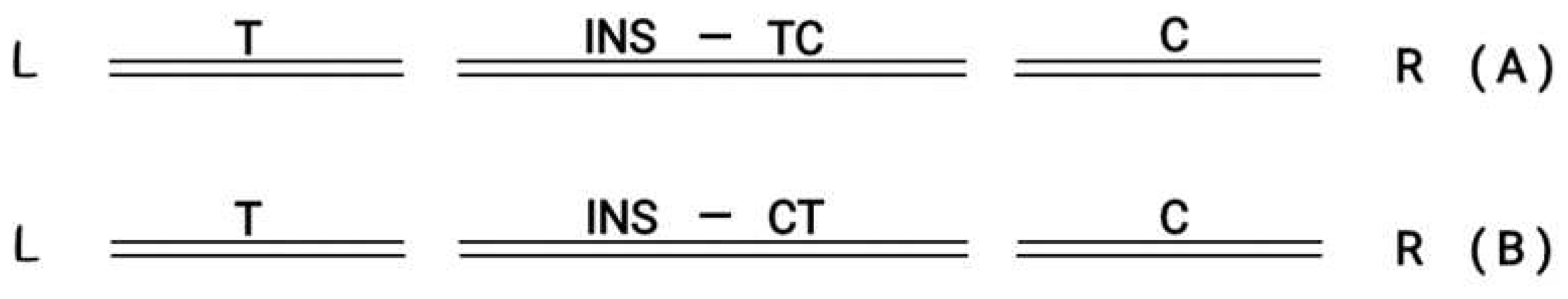 Preprints 91908 g005