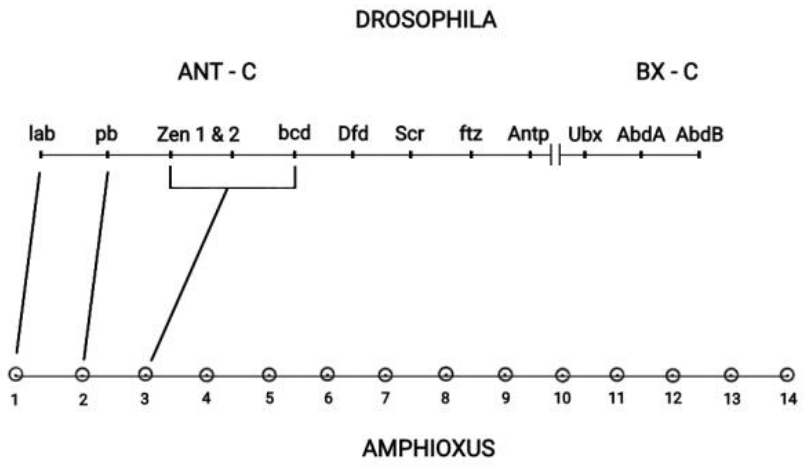 Preprints 91908 g006