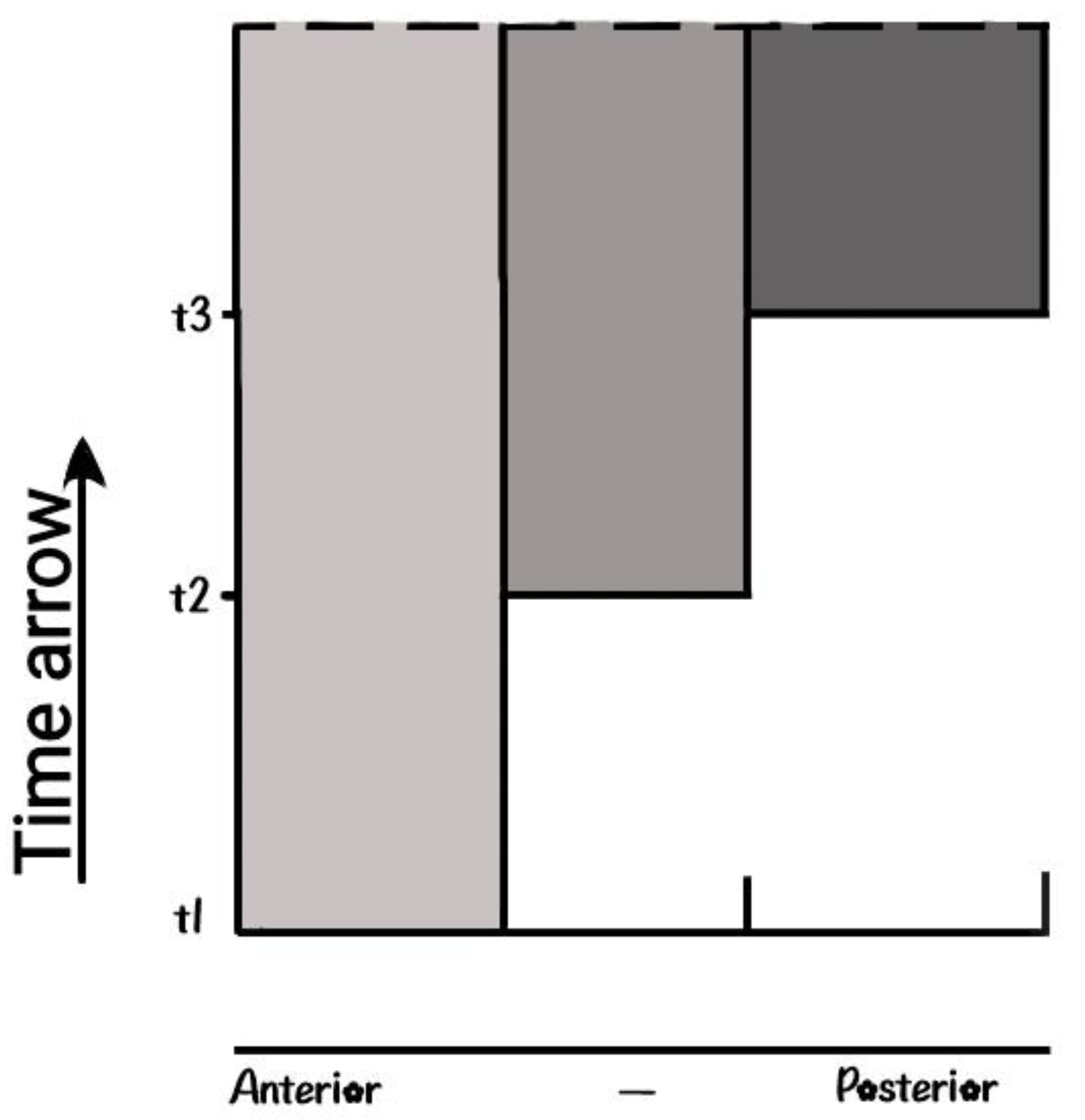 Preprints 91908 g007