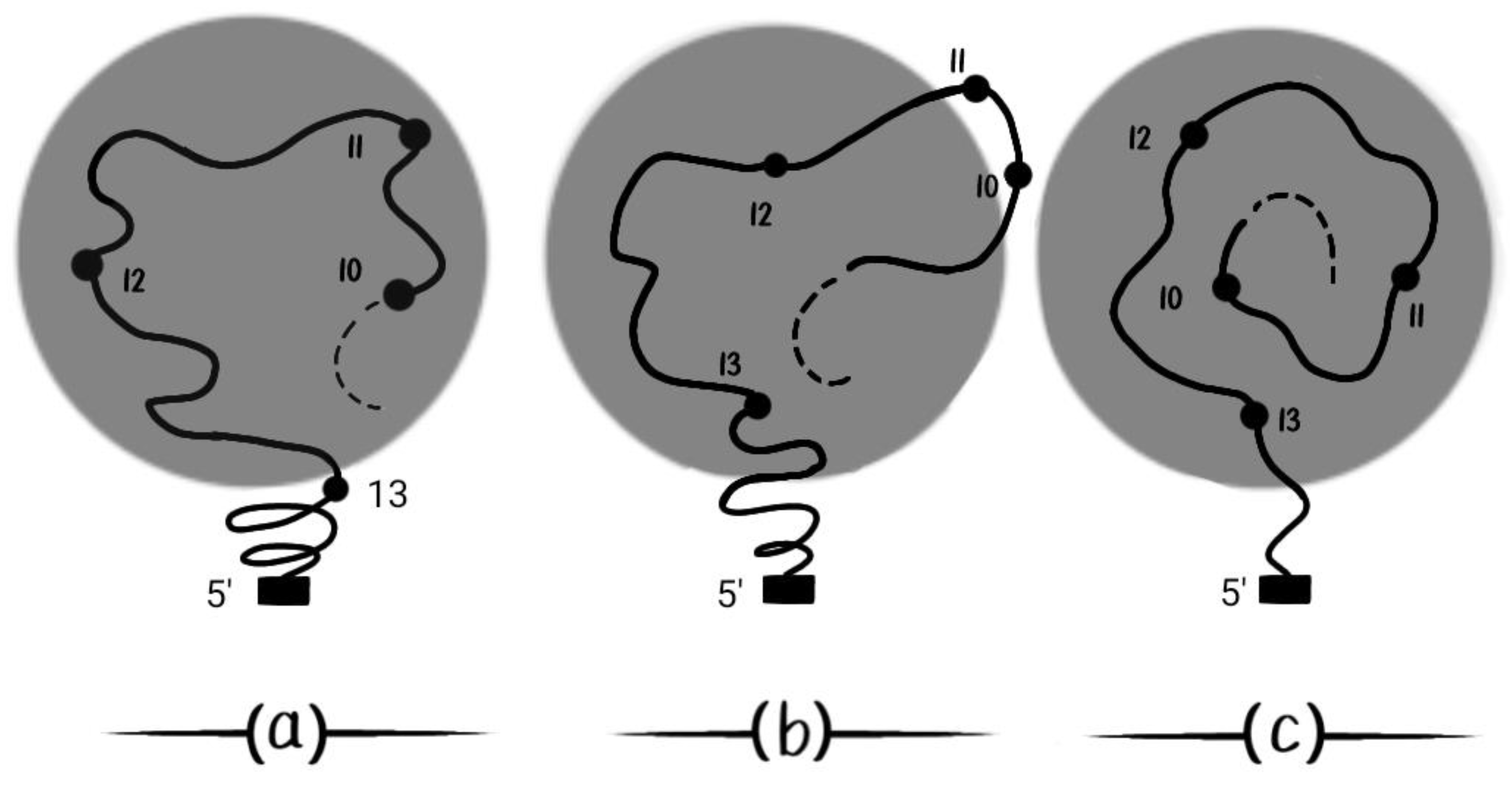 Preprints 91908 g008