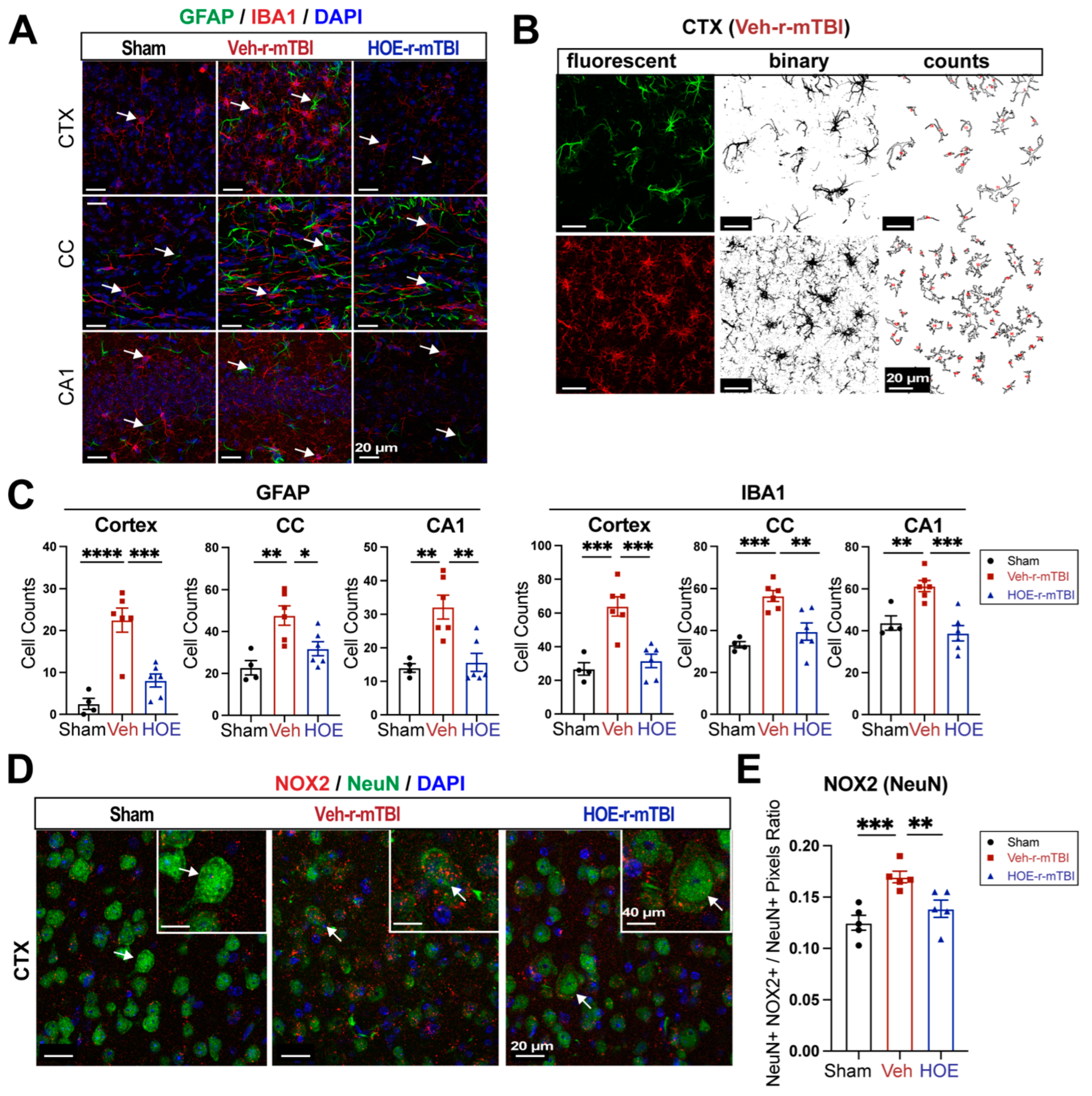 Preprints 104415 g005