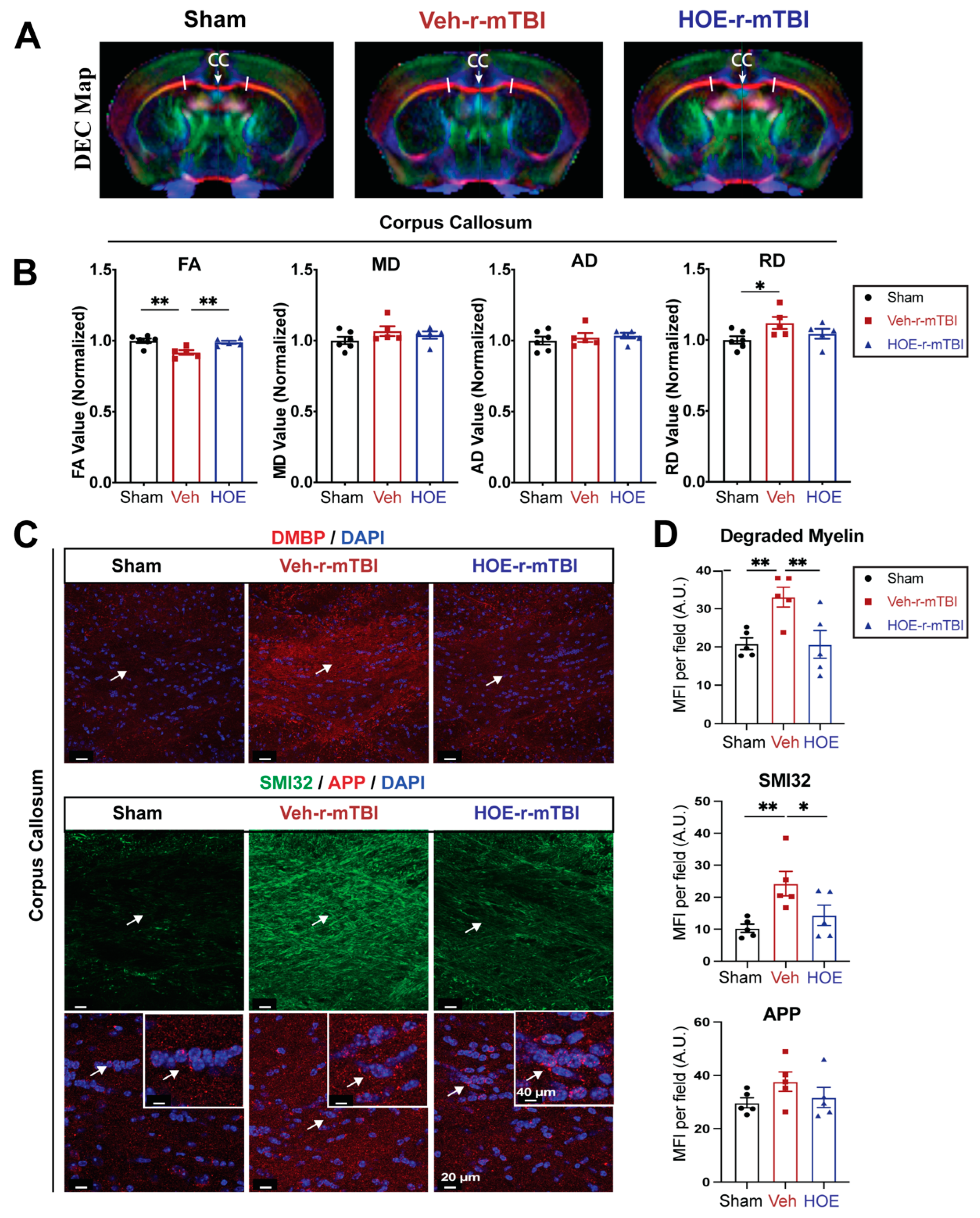 Preprints 104415 g006