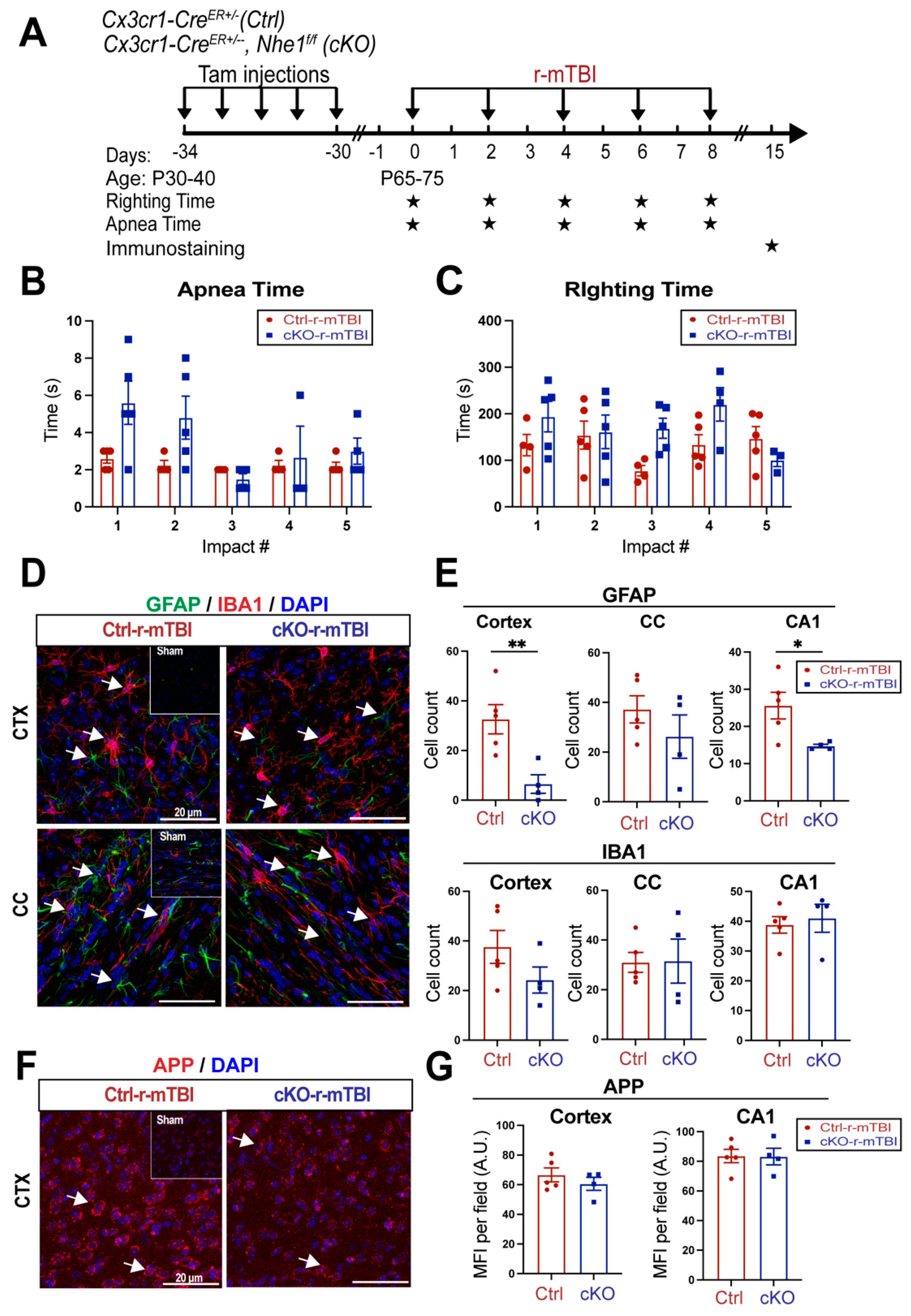 Preprints 104415 g007