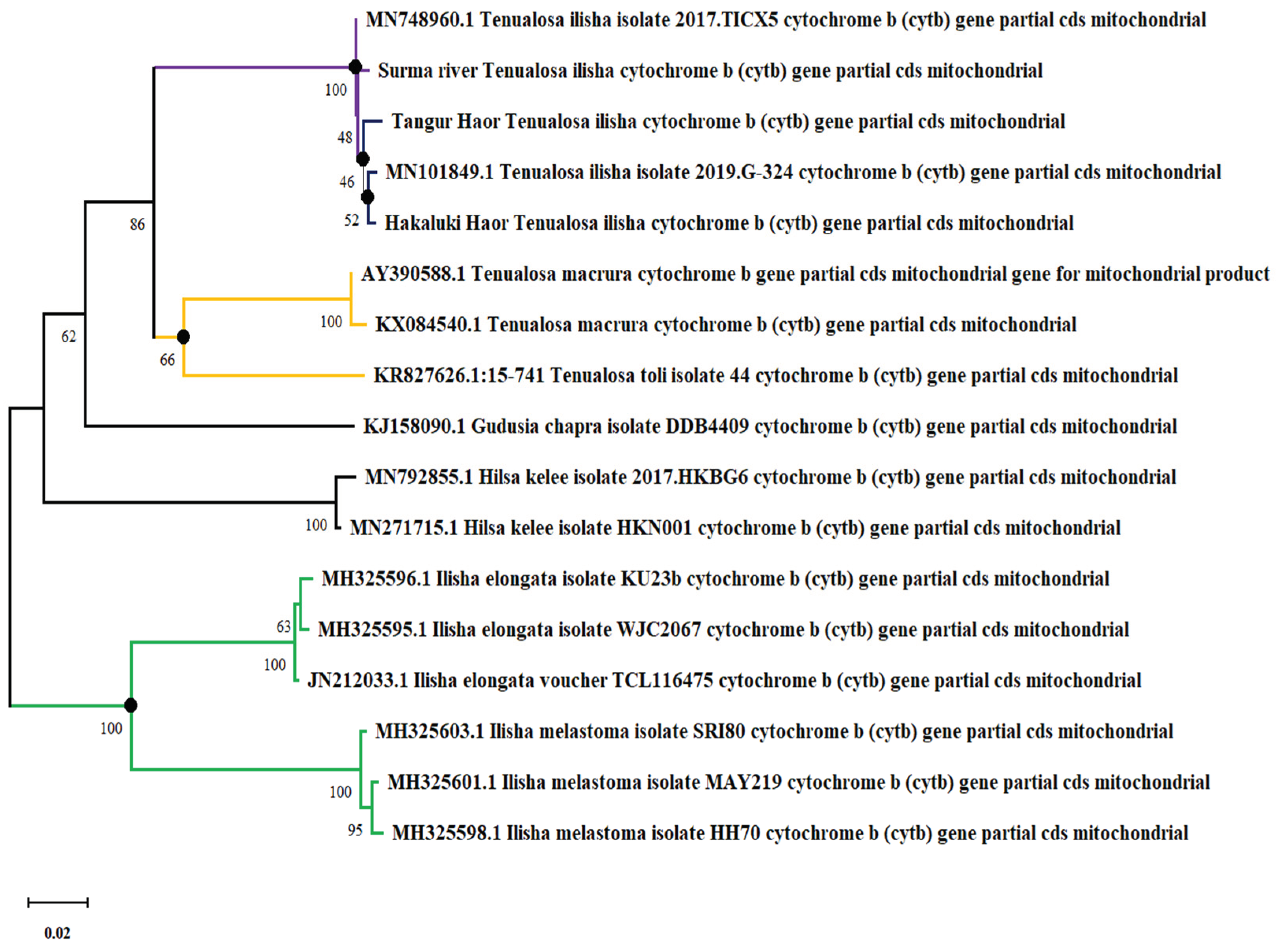 Preprints 99351 g006