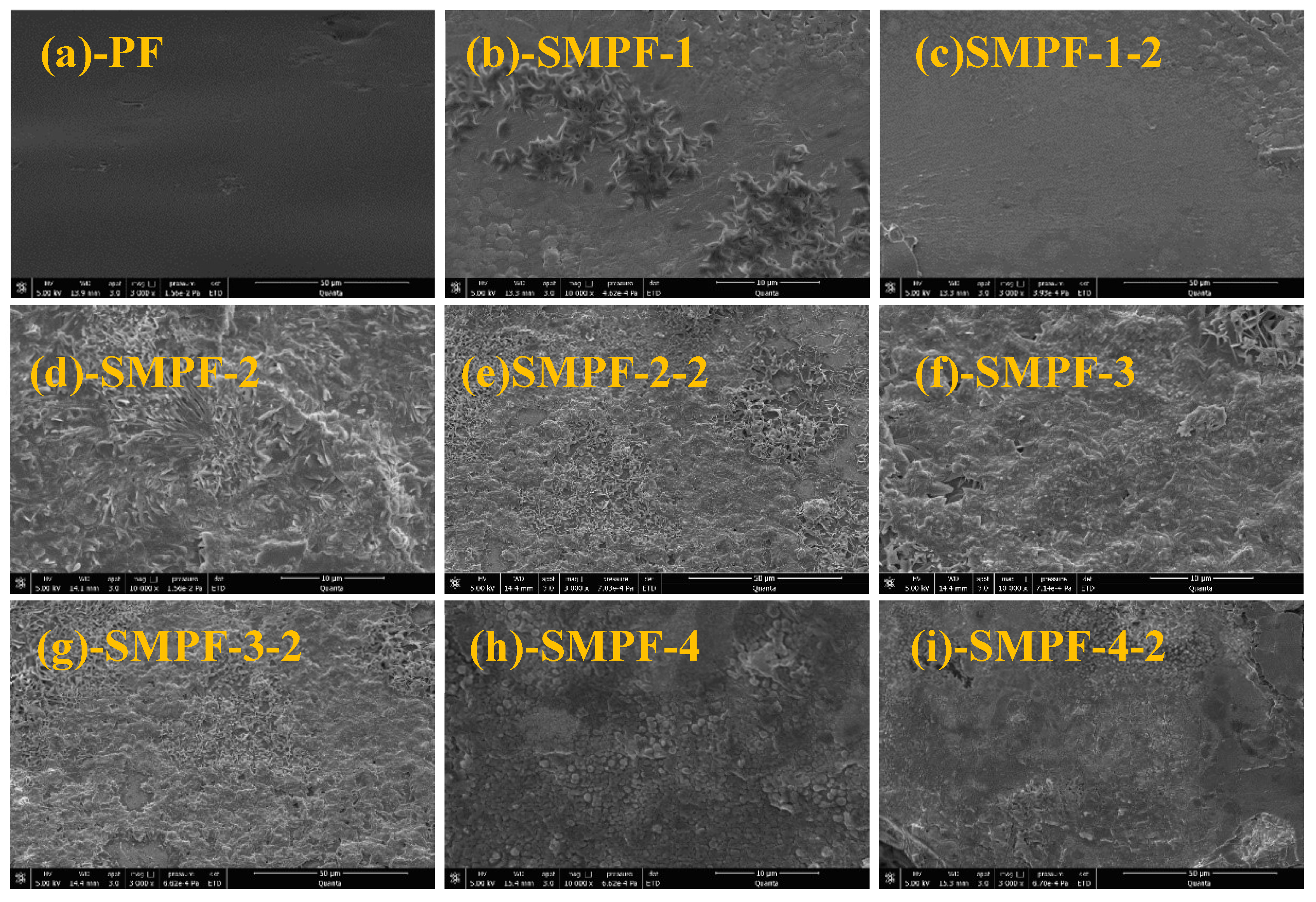 Preprints 74573 g006