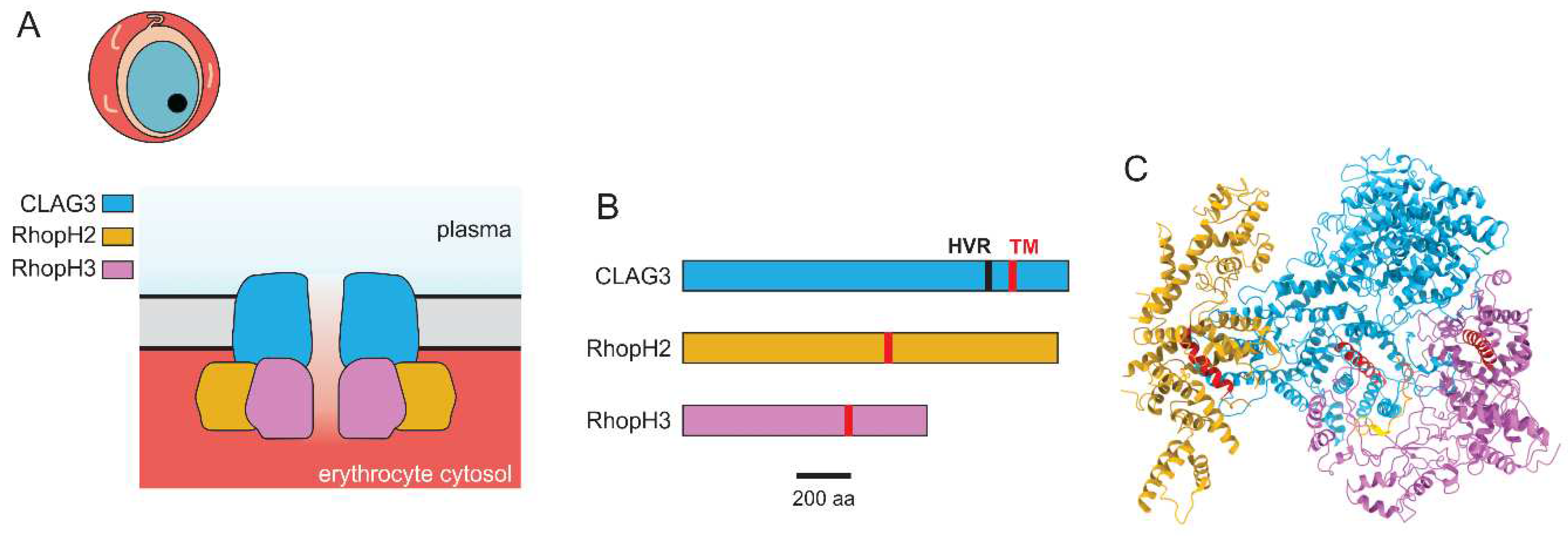 Preprints 98350 g002