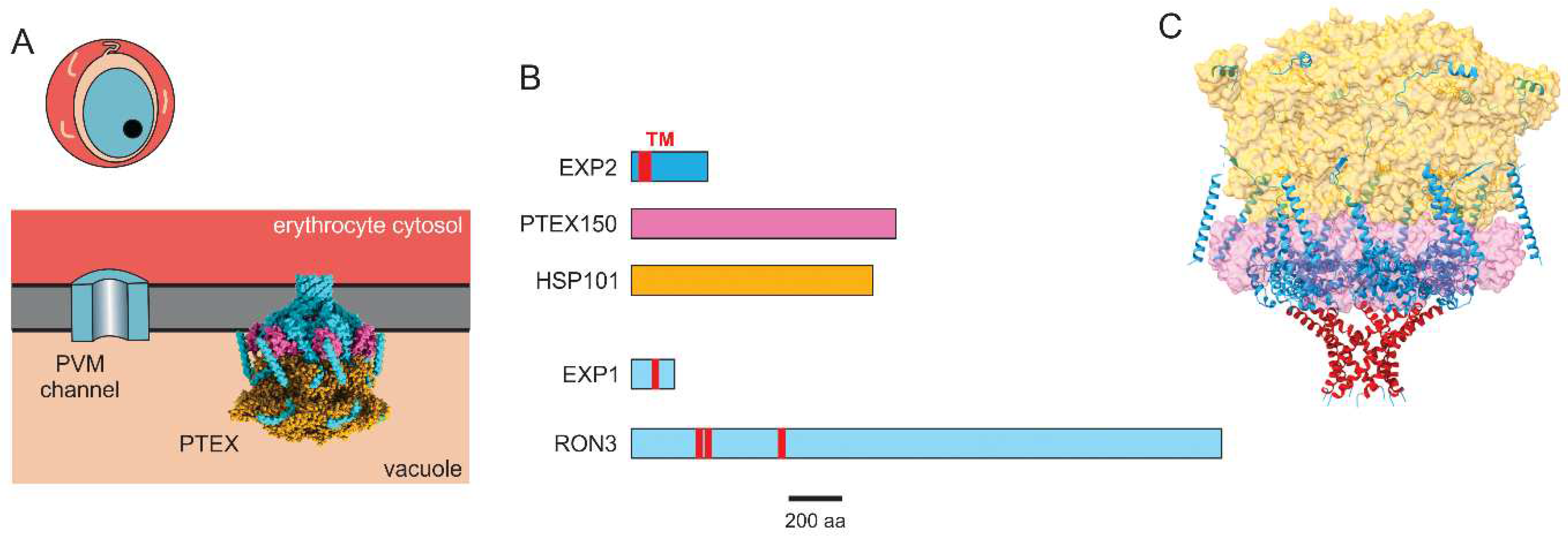 Preprints 98350 g003