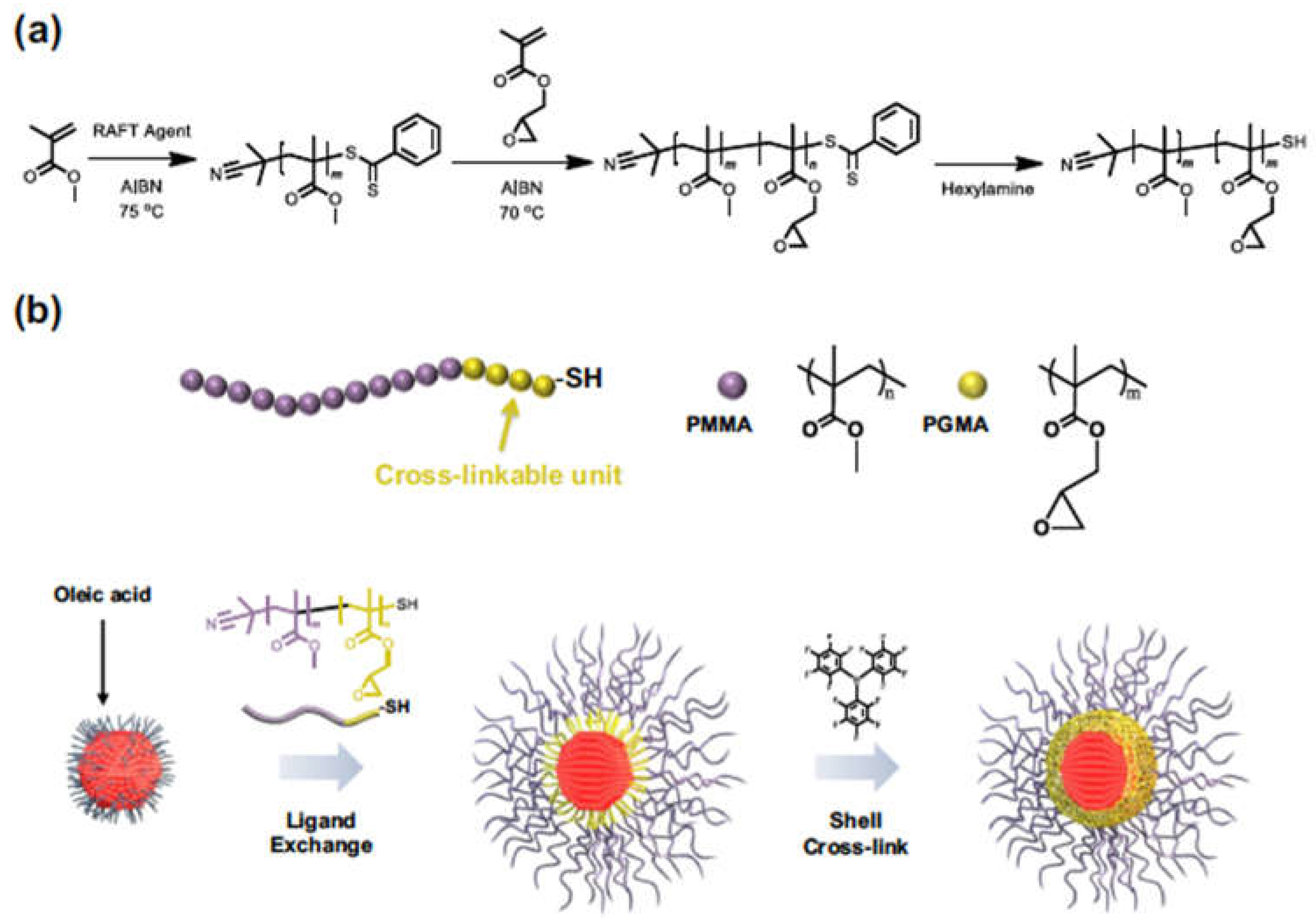 Preprints 76485 g010