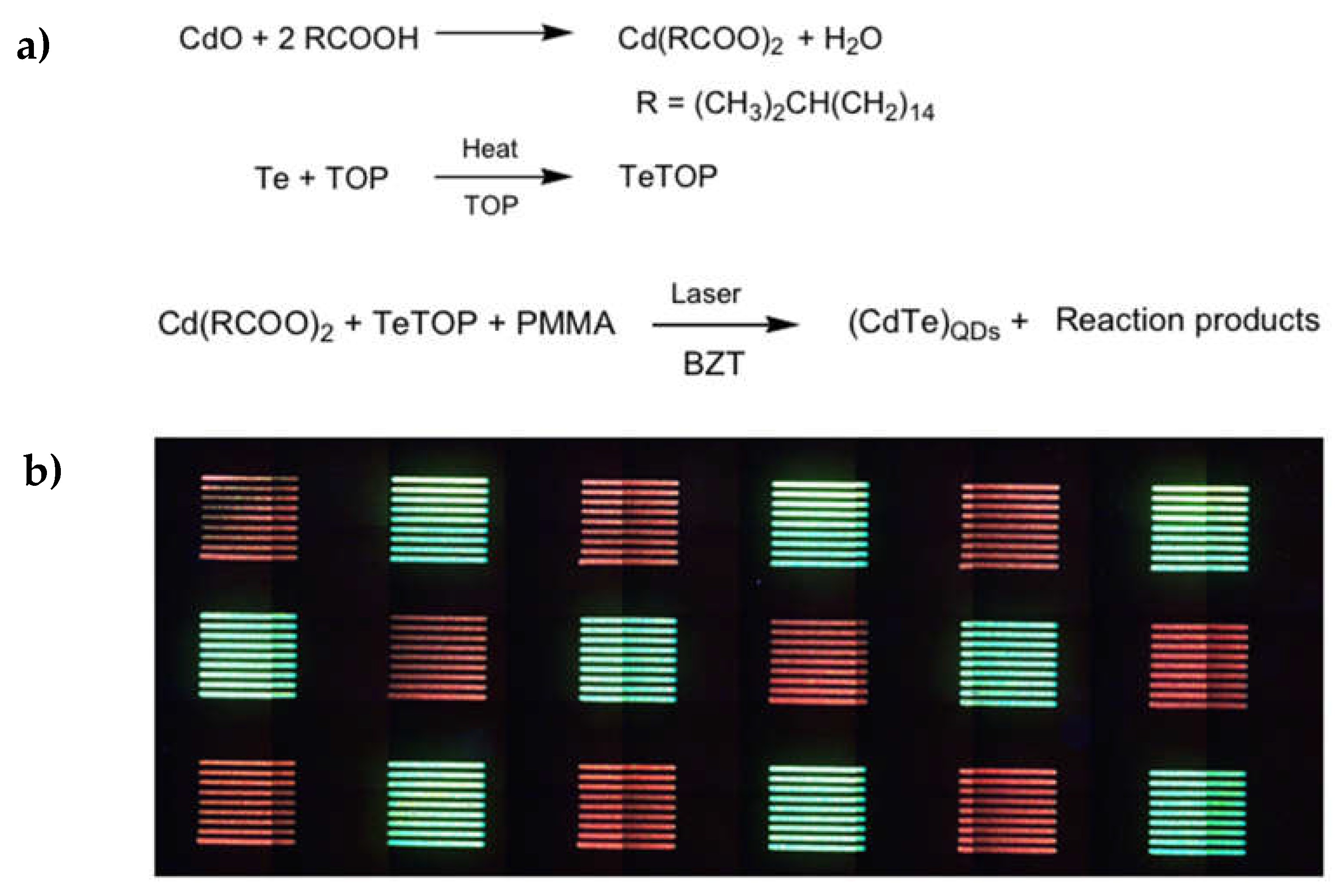 Preprints 76485 g025