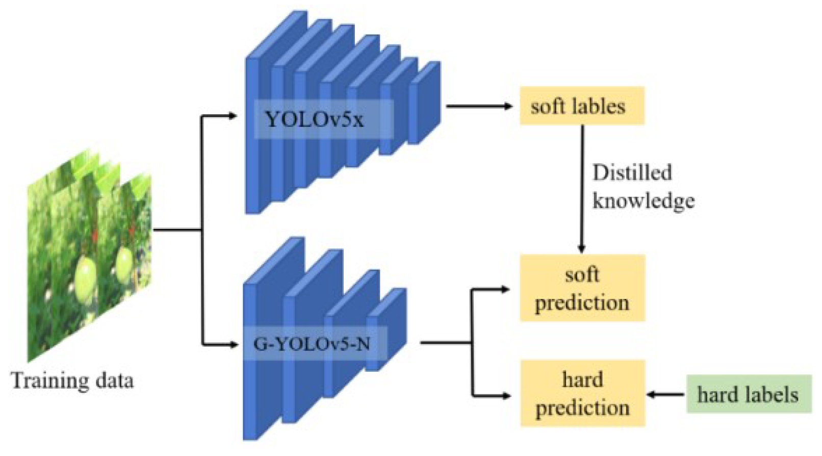 Preprints 107759 g008