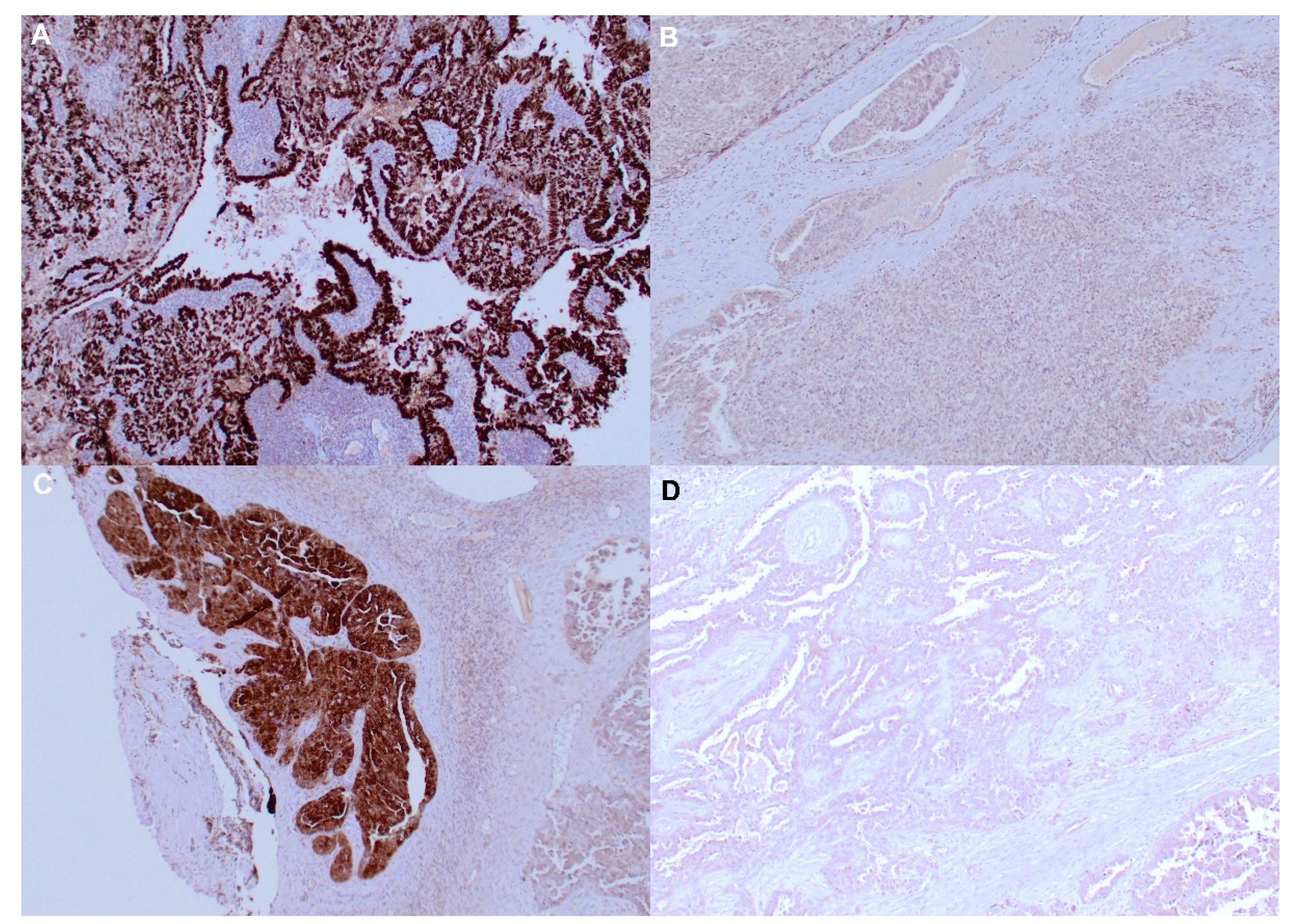 Preprints 83124 g001