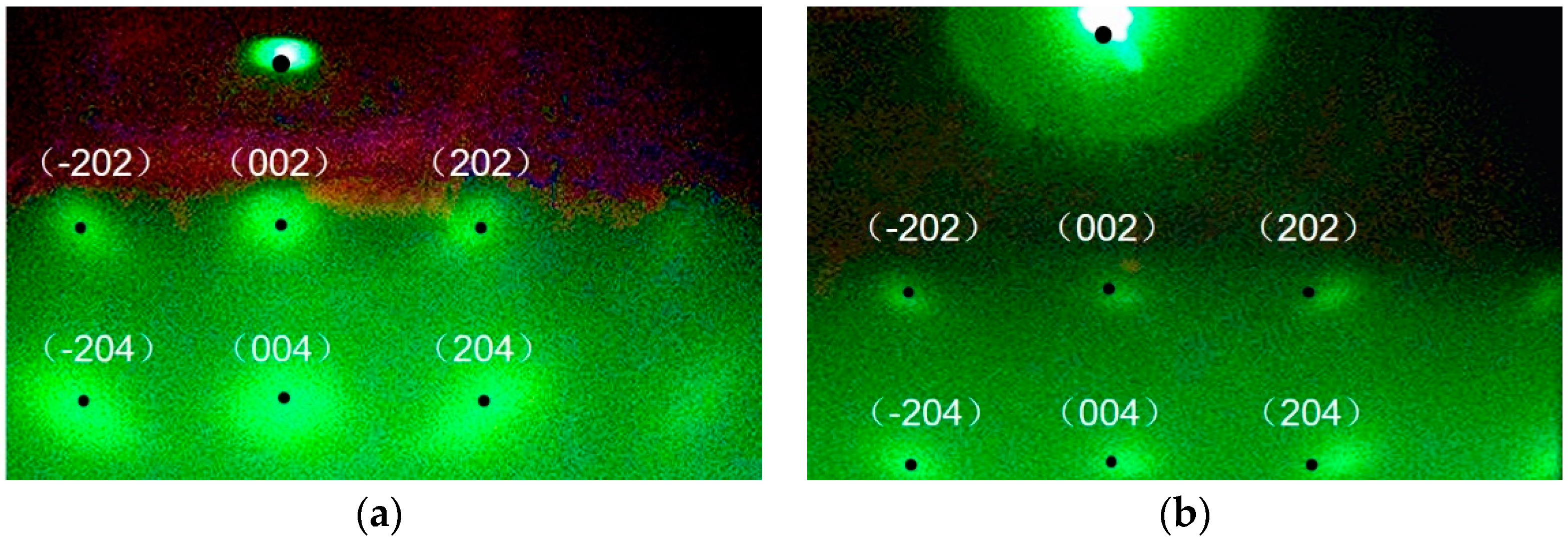 Preprints 84390 g010