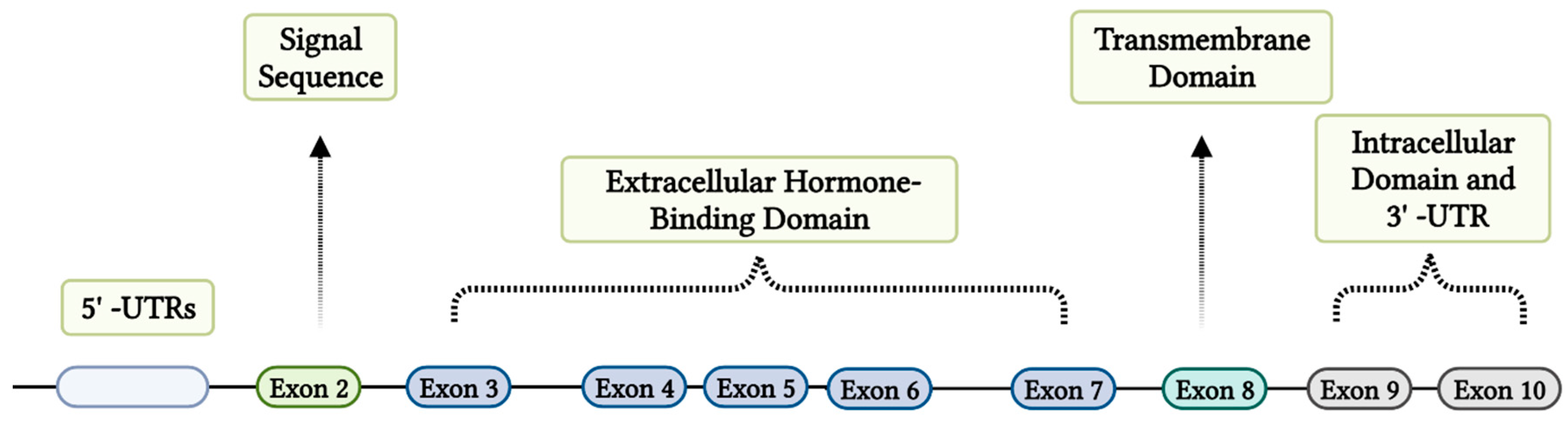 Preprints 82842 g001