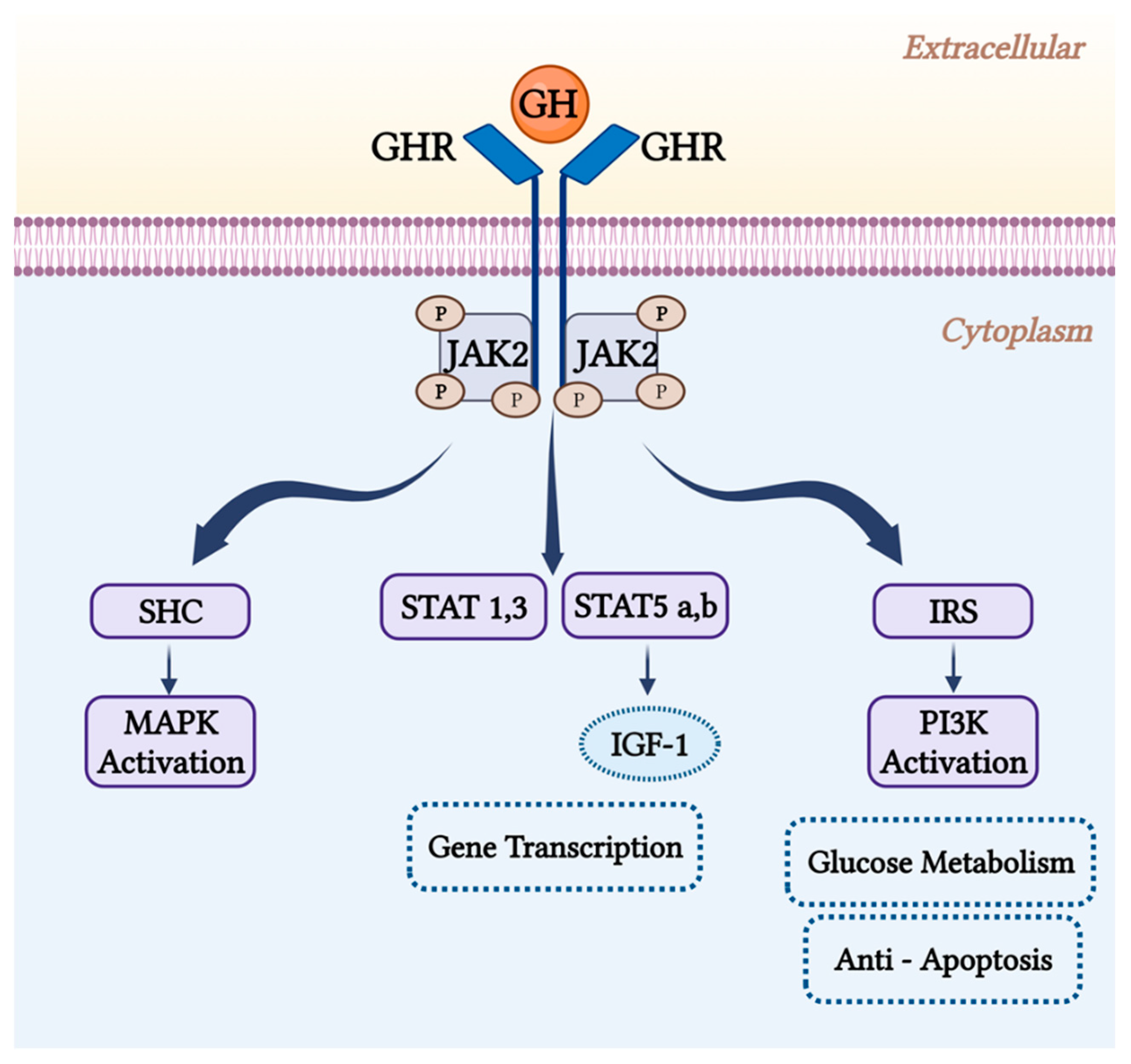 Preprints 82842 g002