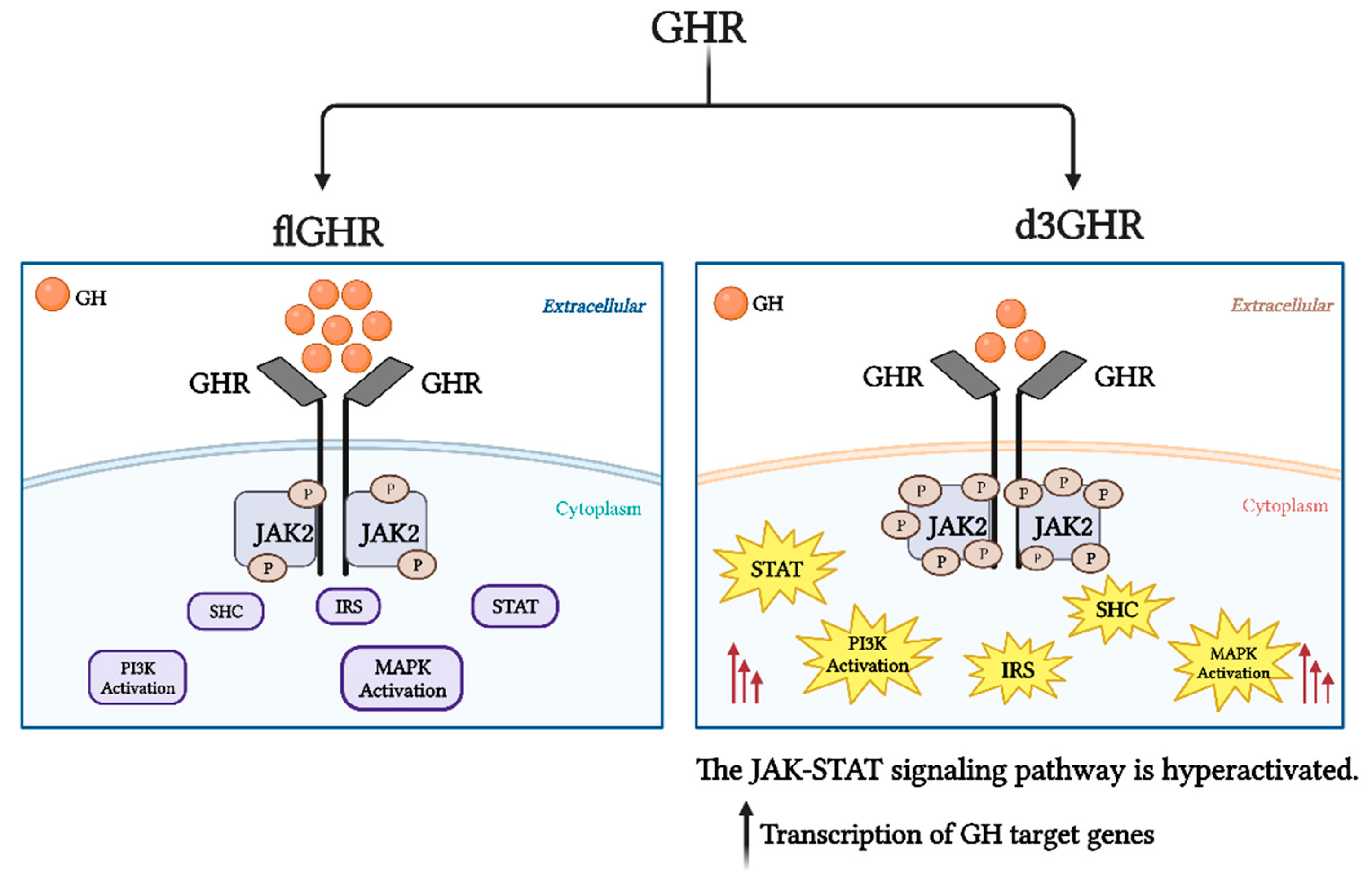 Preprints 82842 g003