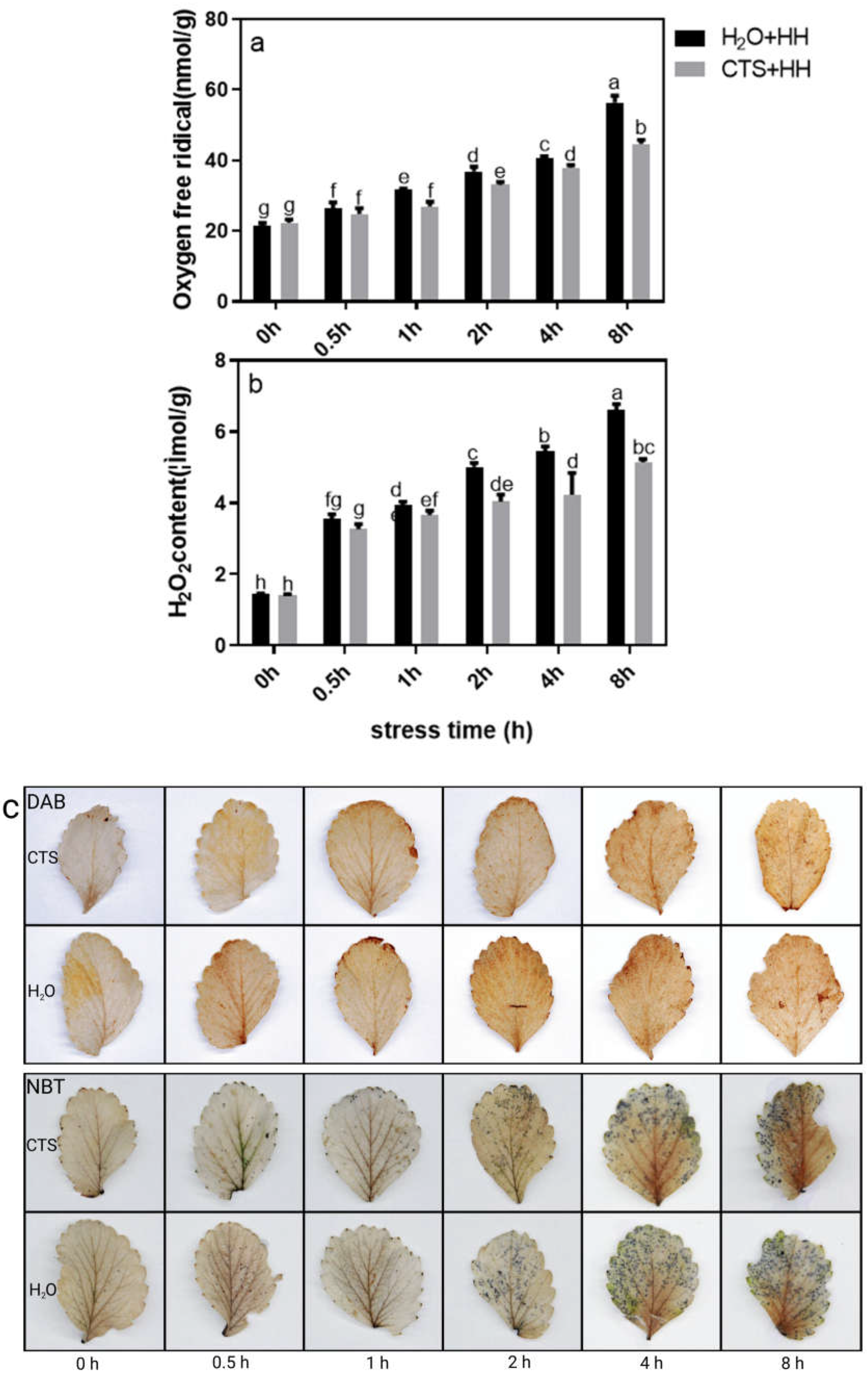 Preprints 68132 g005