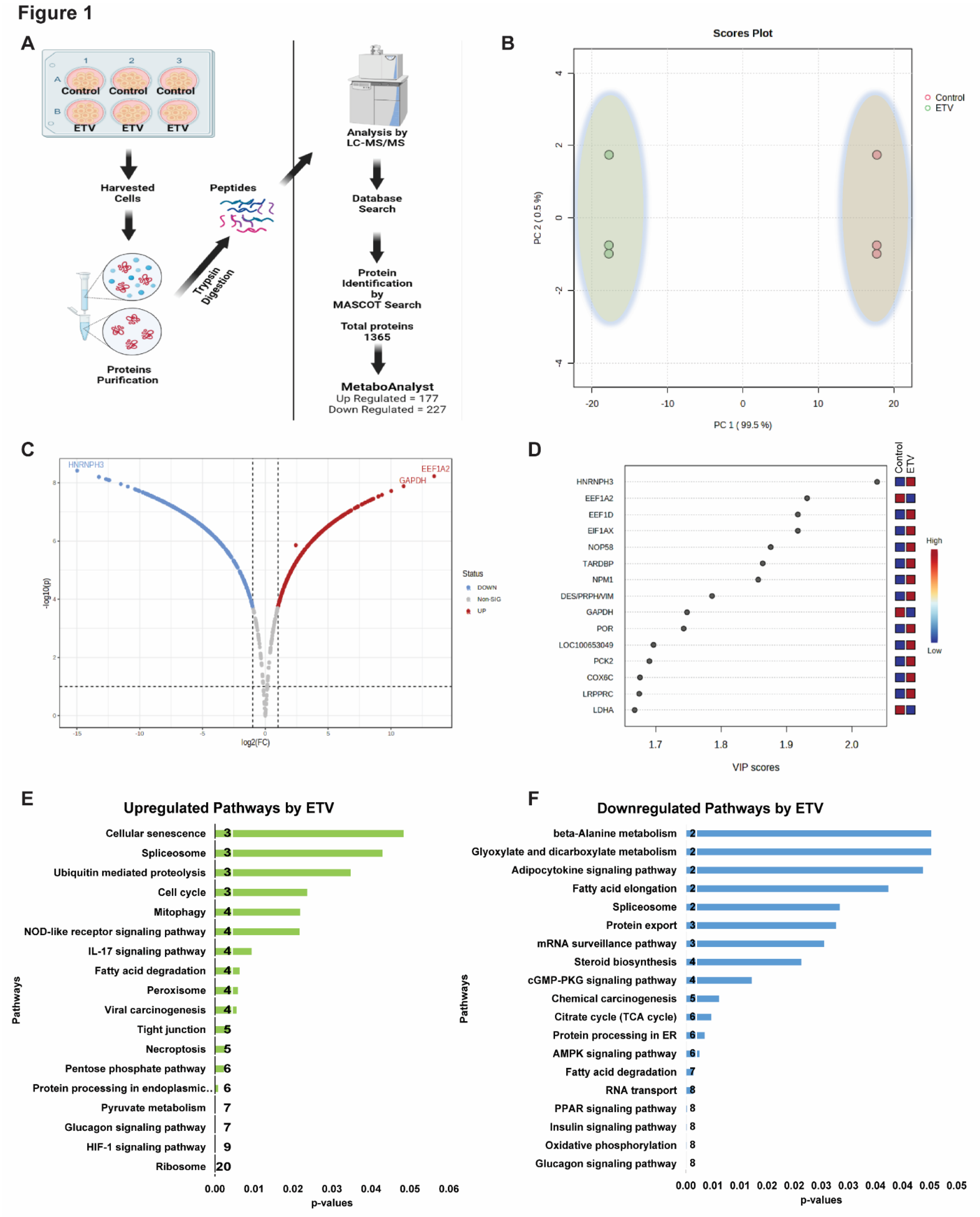 Preprints 74909 g001