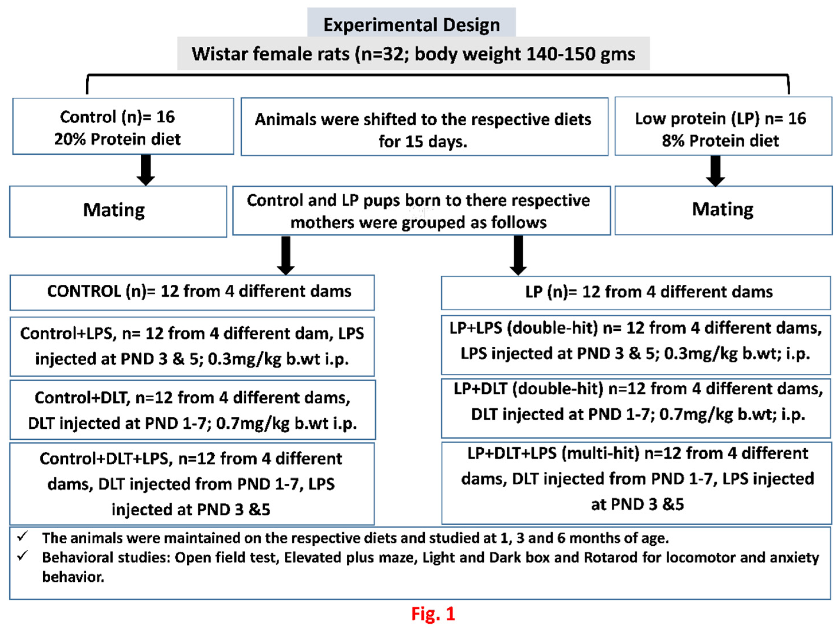 Preprints 79160 g001