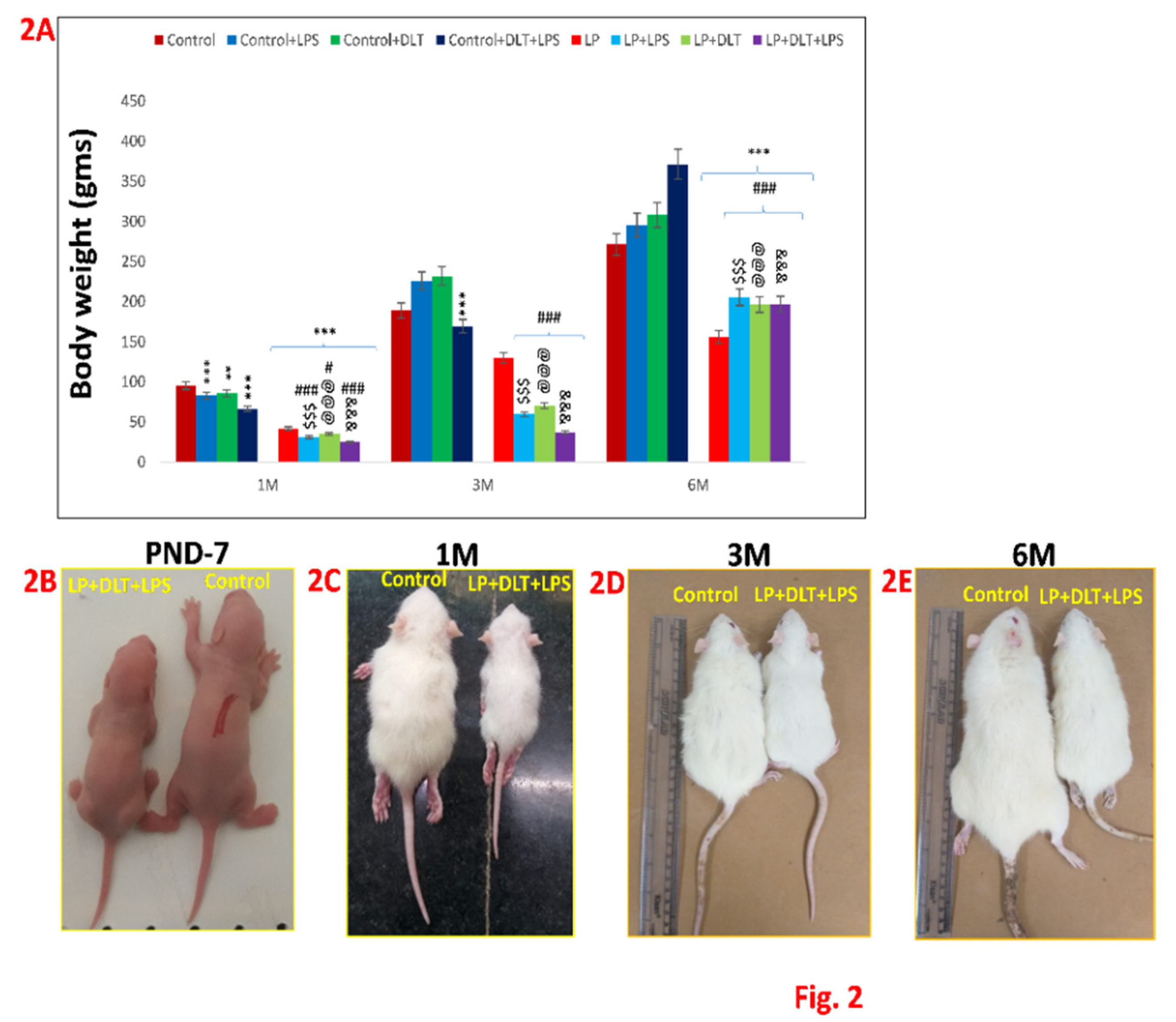 Preprints 79160 g002