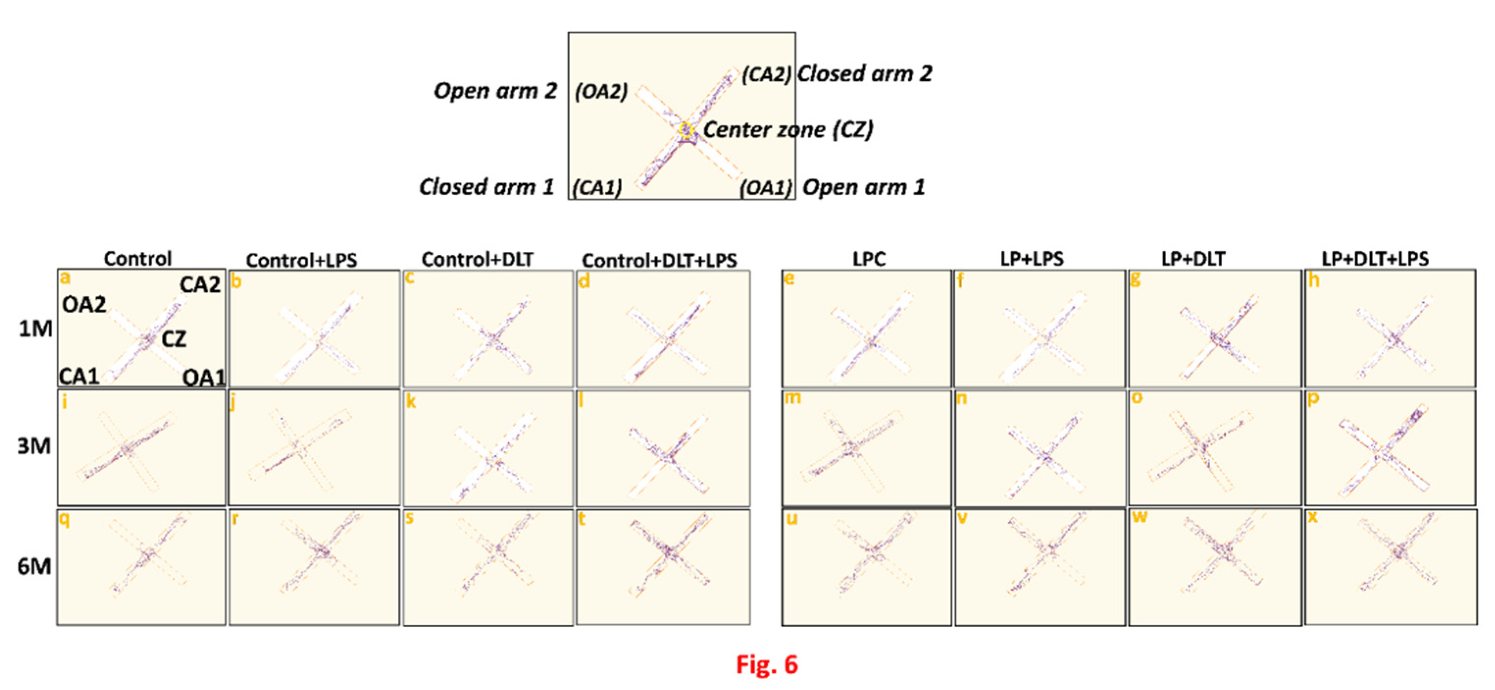 Preprints 79160 g006