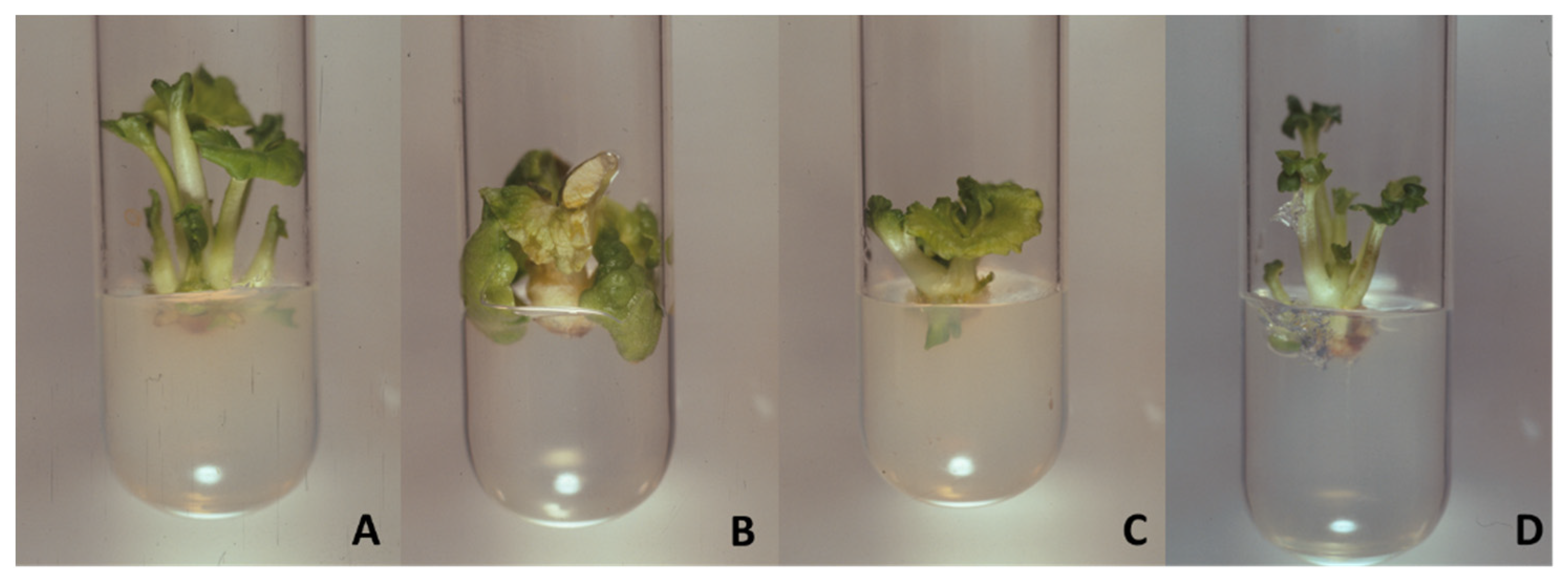 Preprints 95841 g003