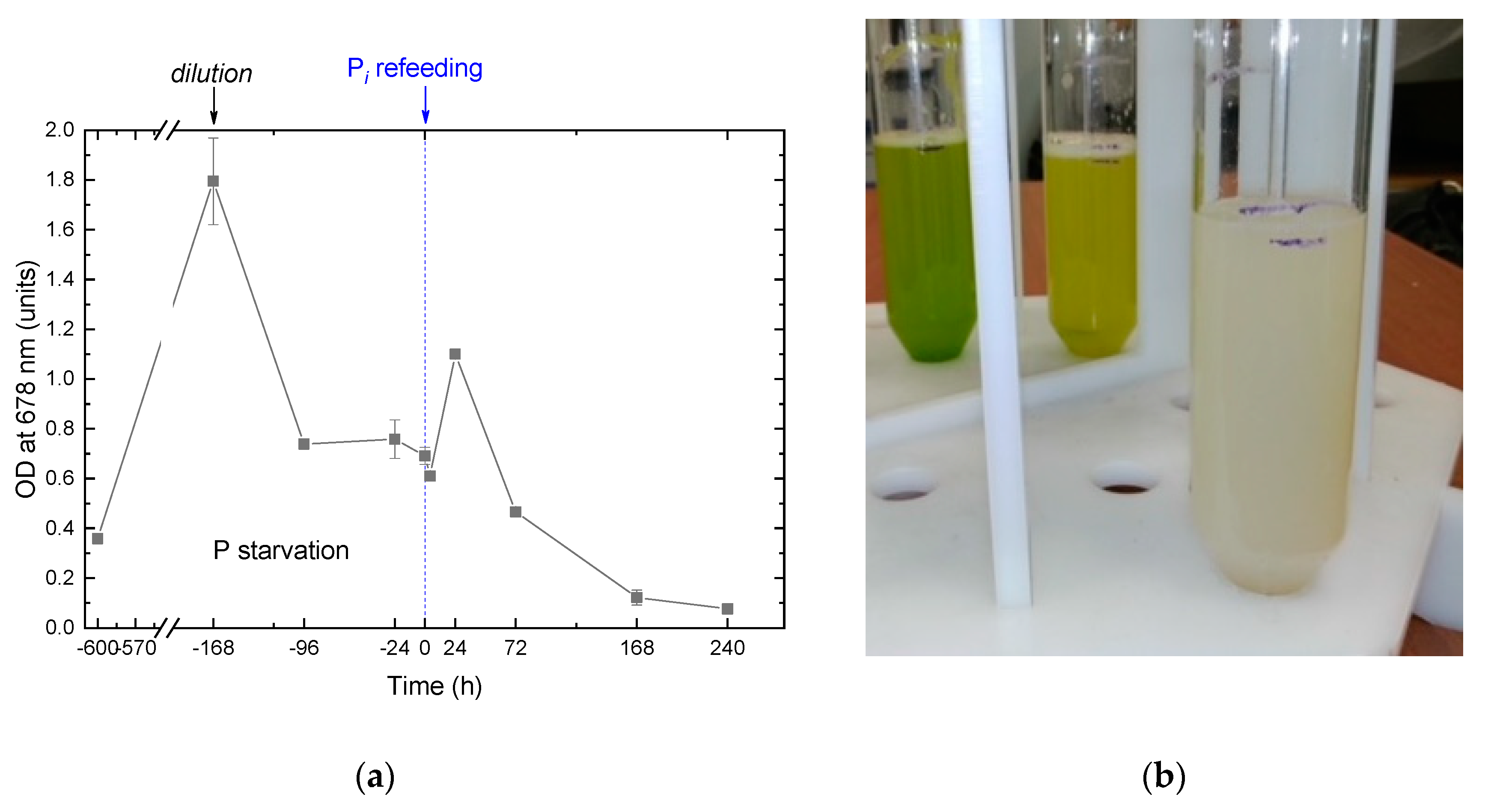 Preprints 71430 g001