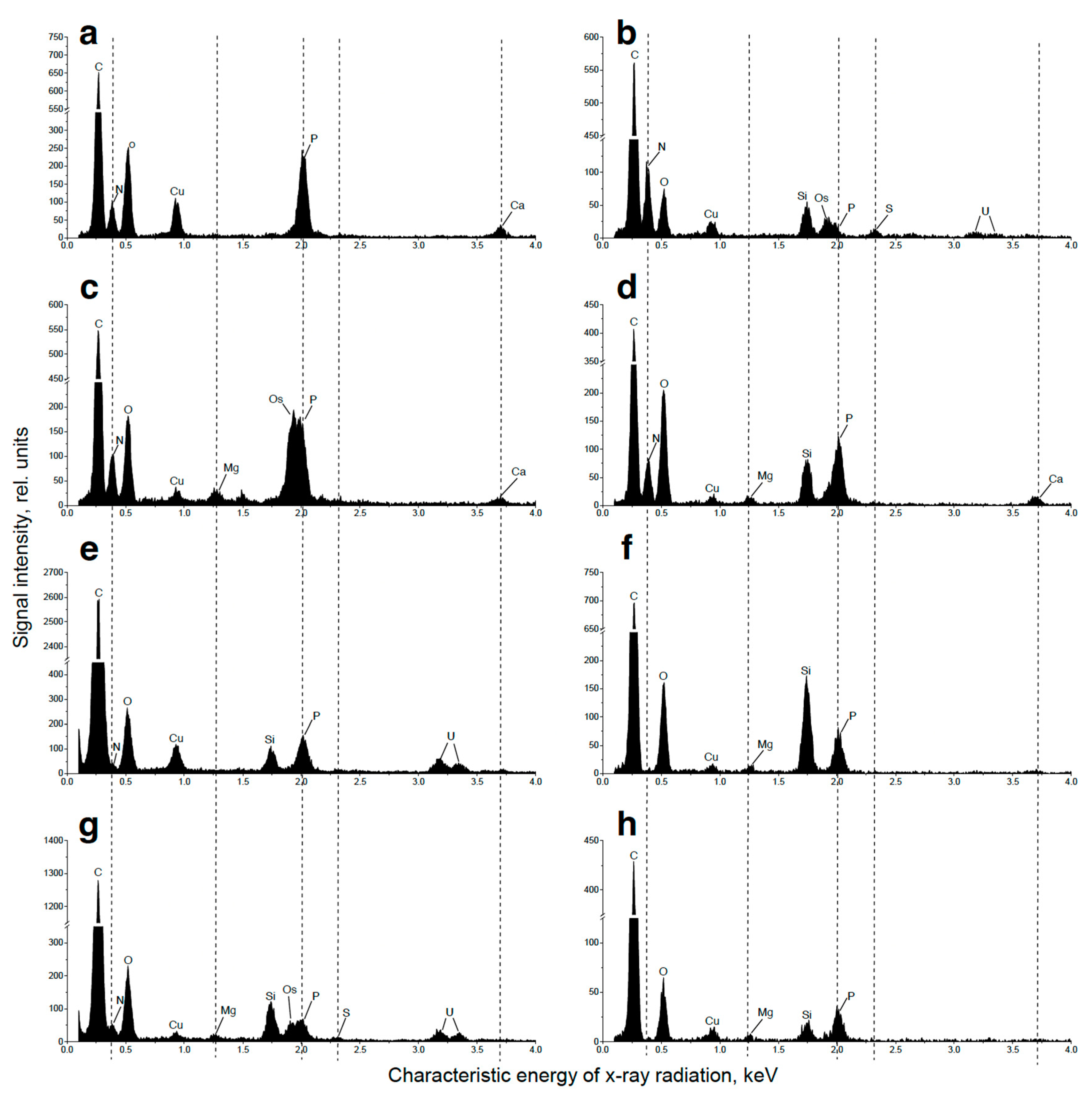 Preprints 71430 g007