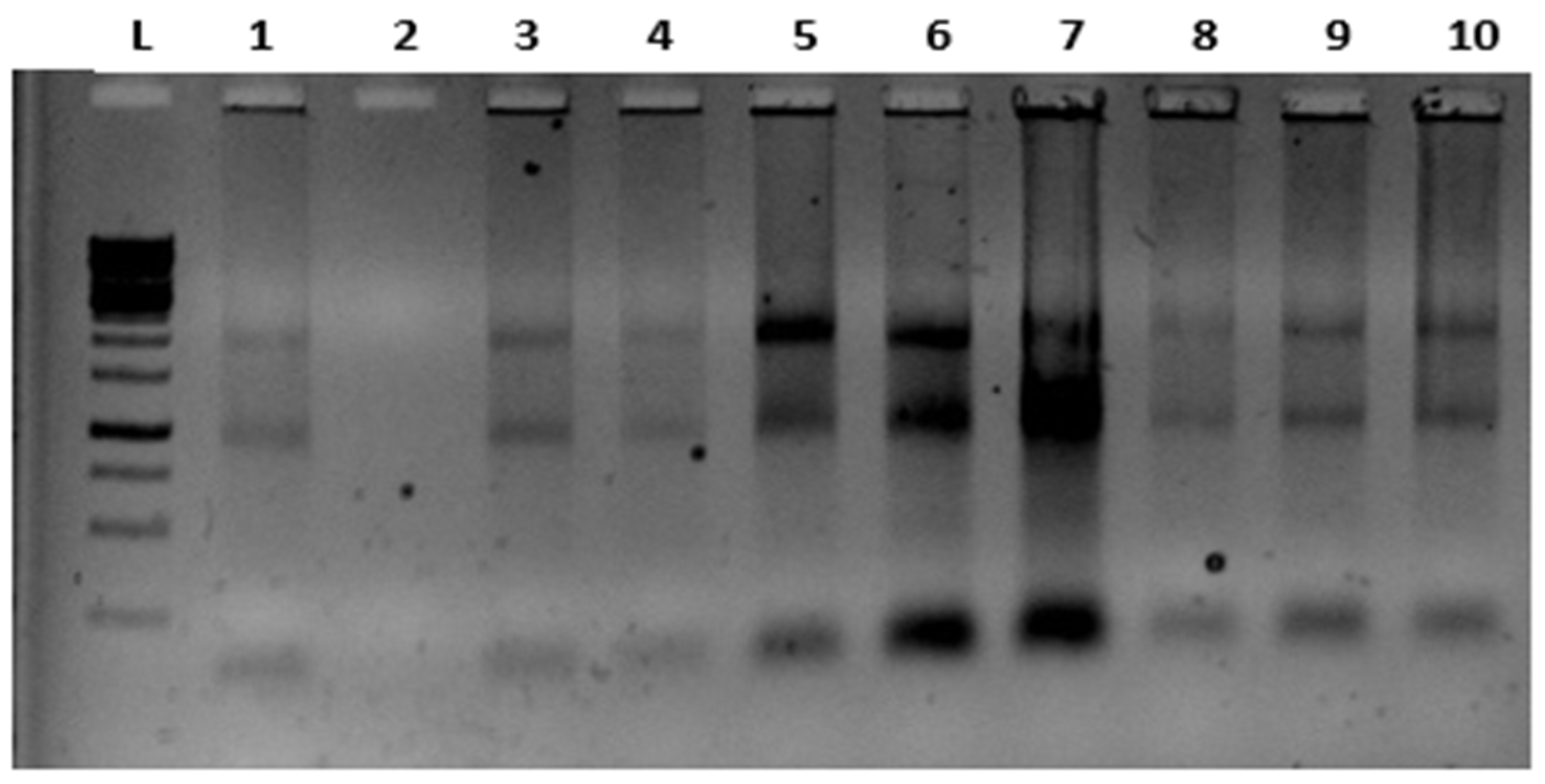 Preprints 75807 g002