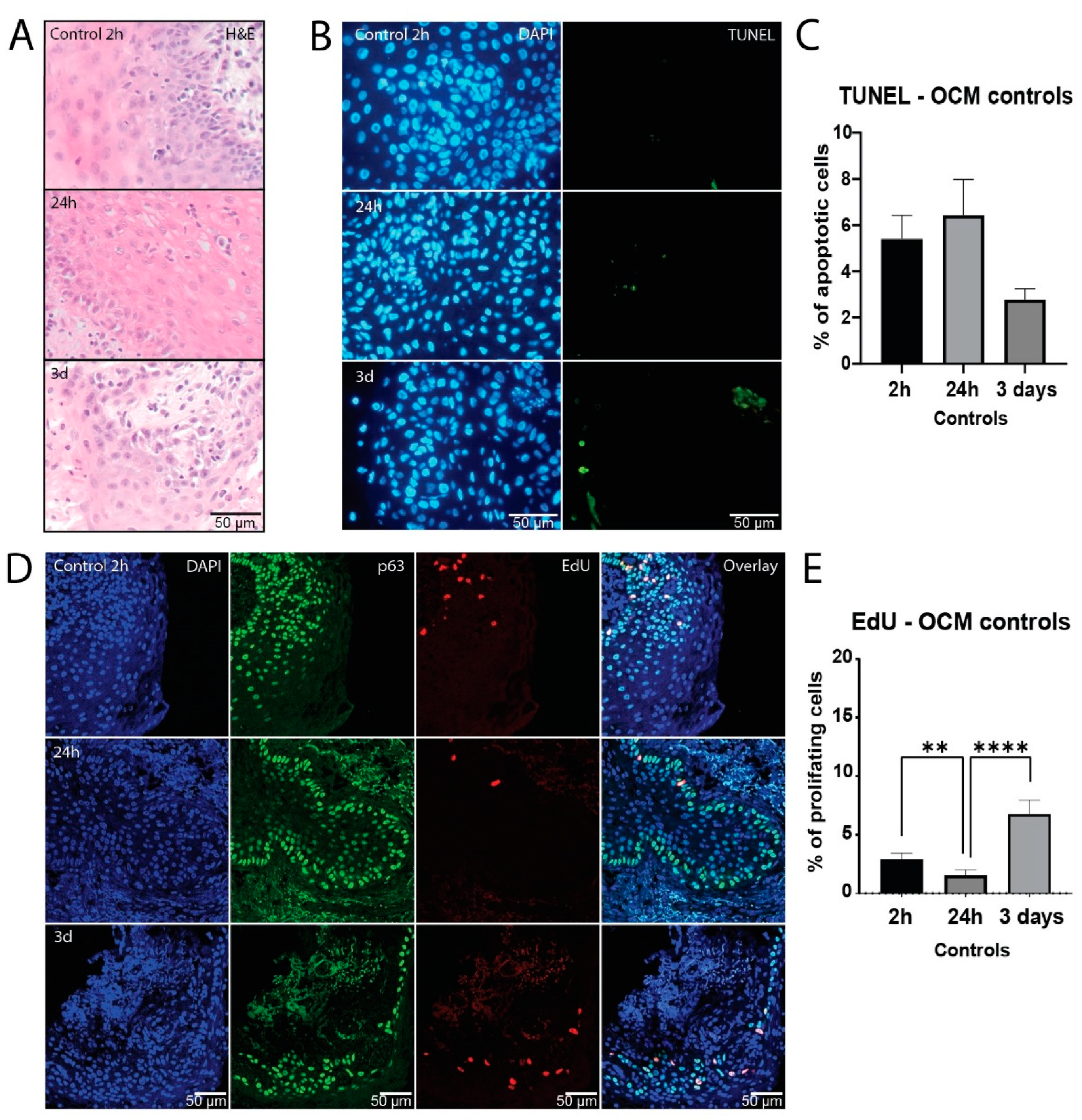 Preprints 106498 g001