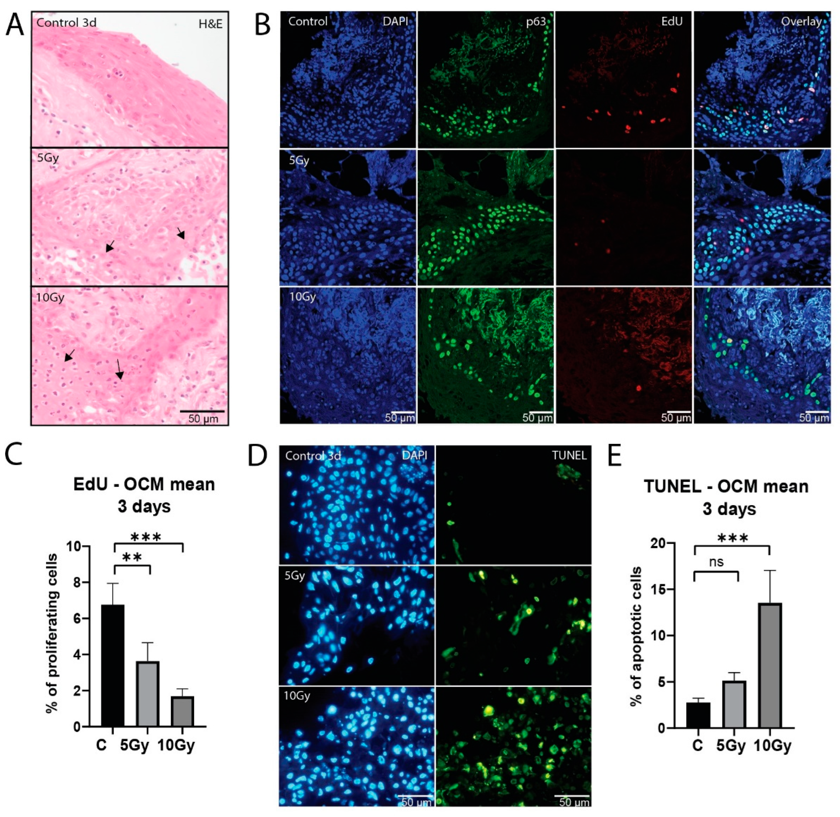 Preprints 106498 g002