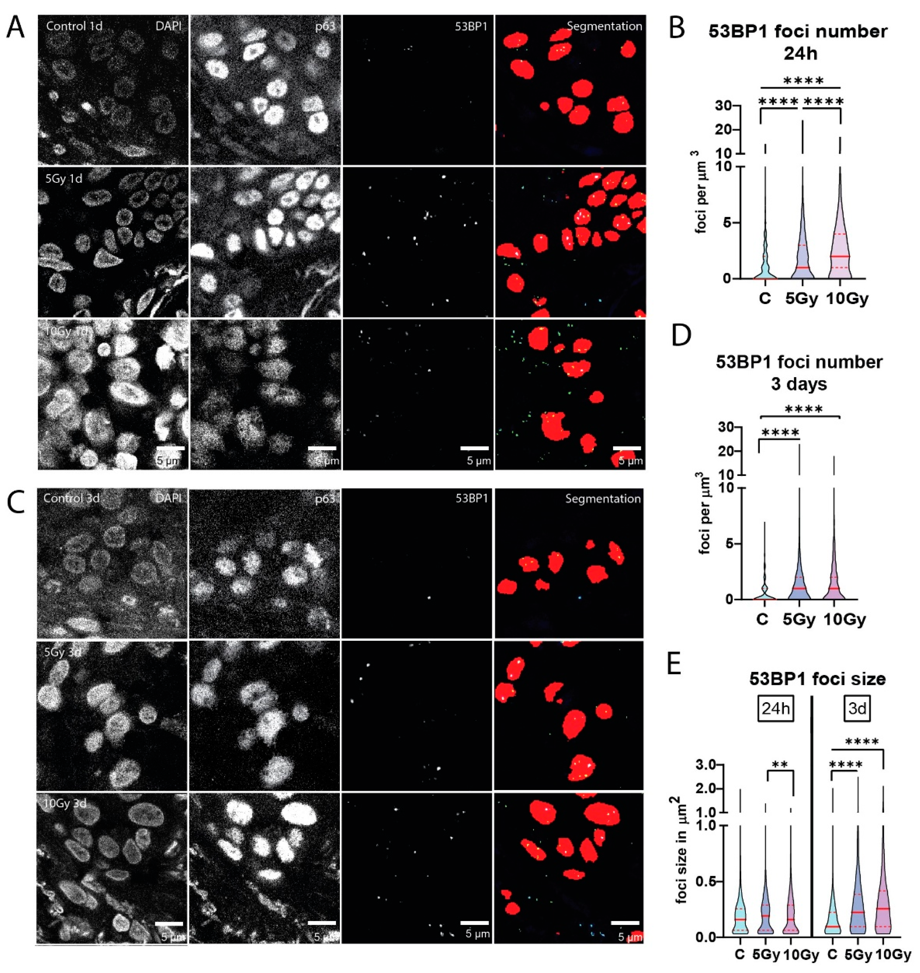 Preprints 106498 g003