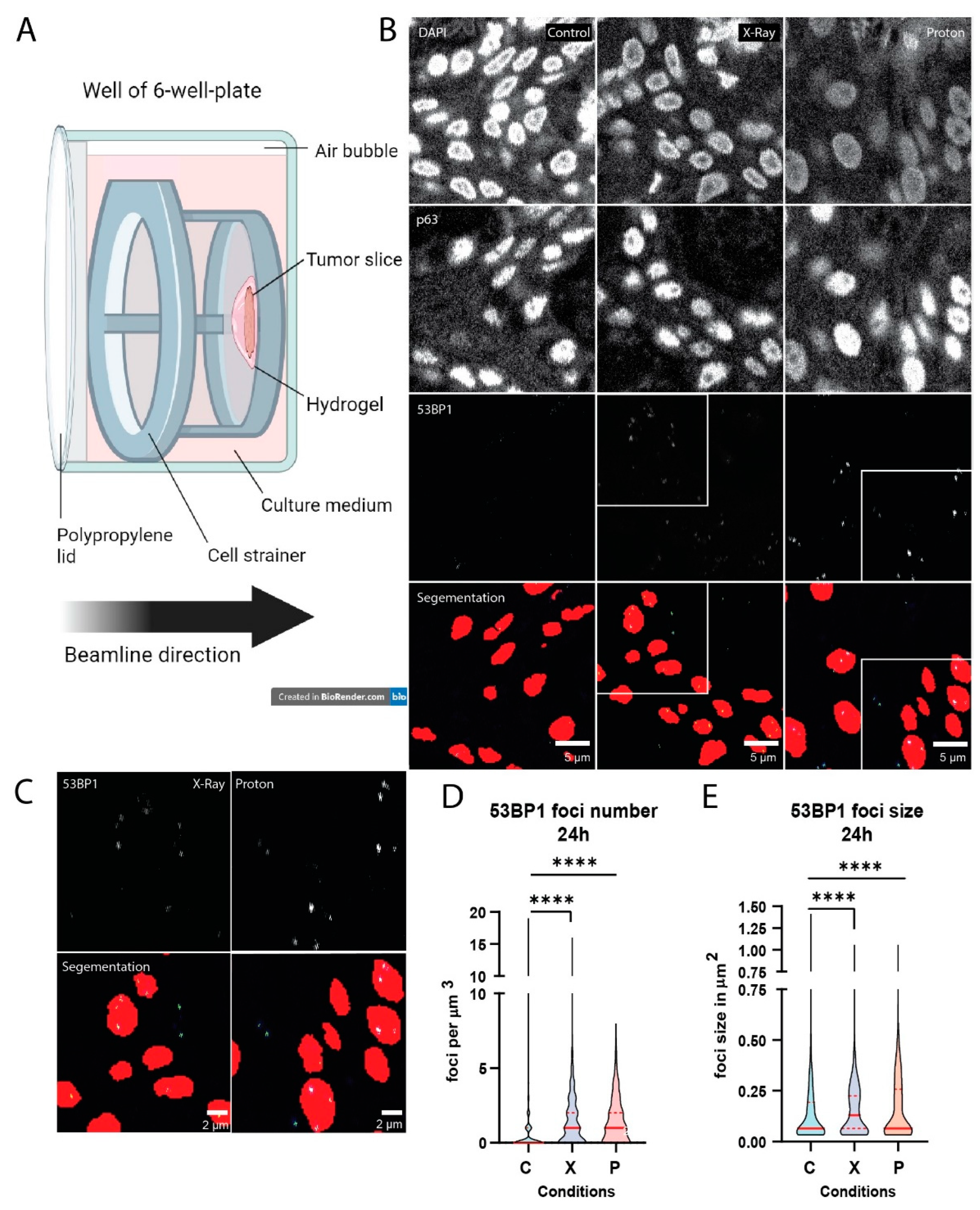 Preprints 106498 g004