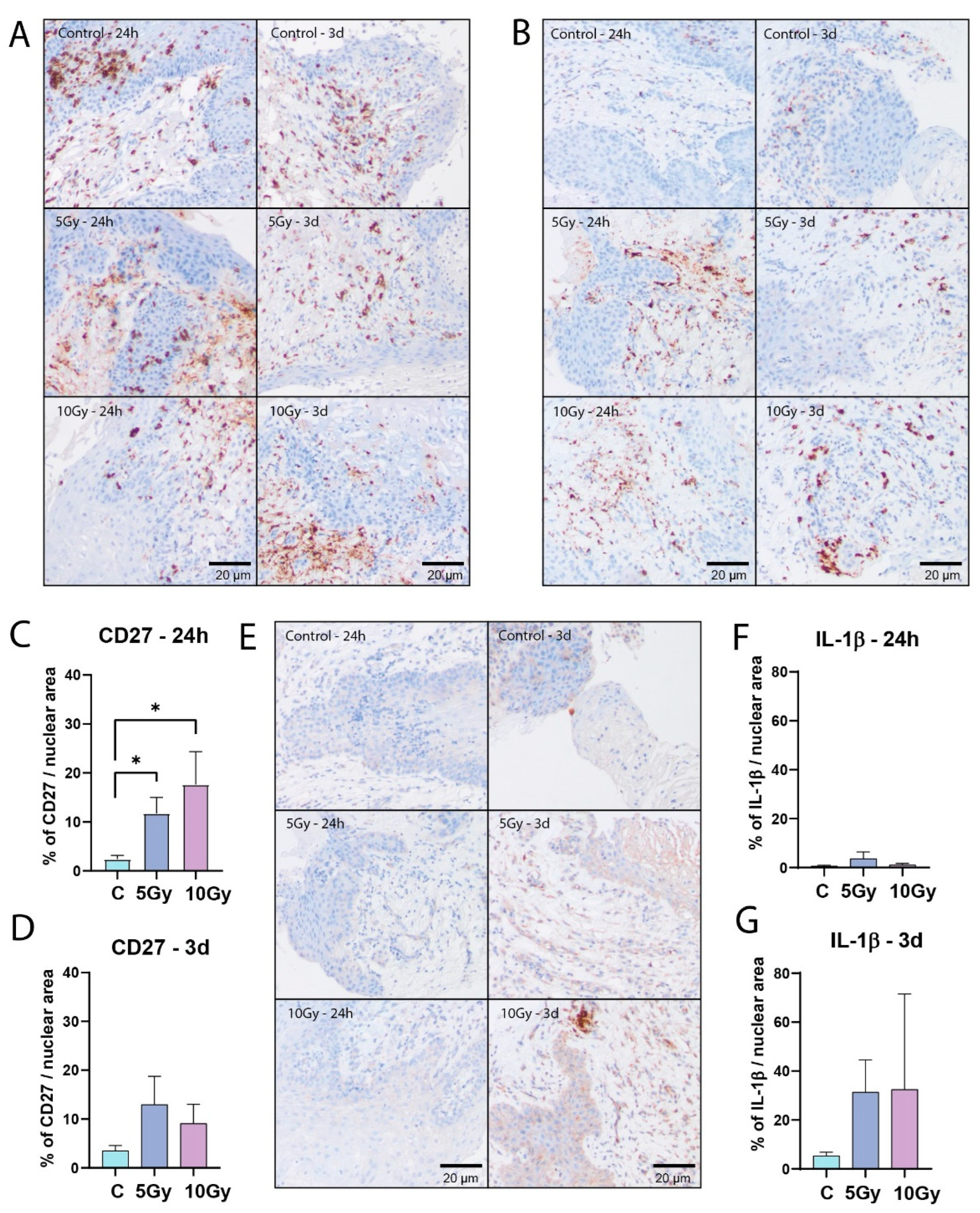 Preprints 106498 g005