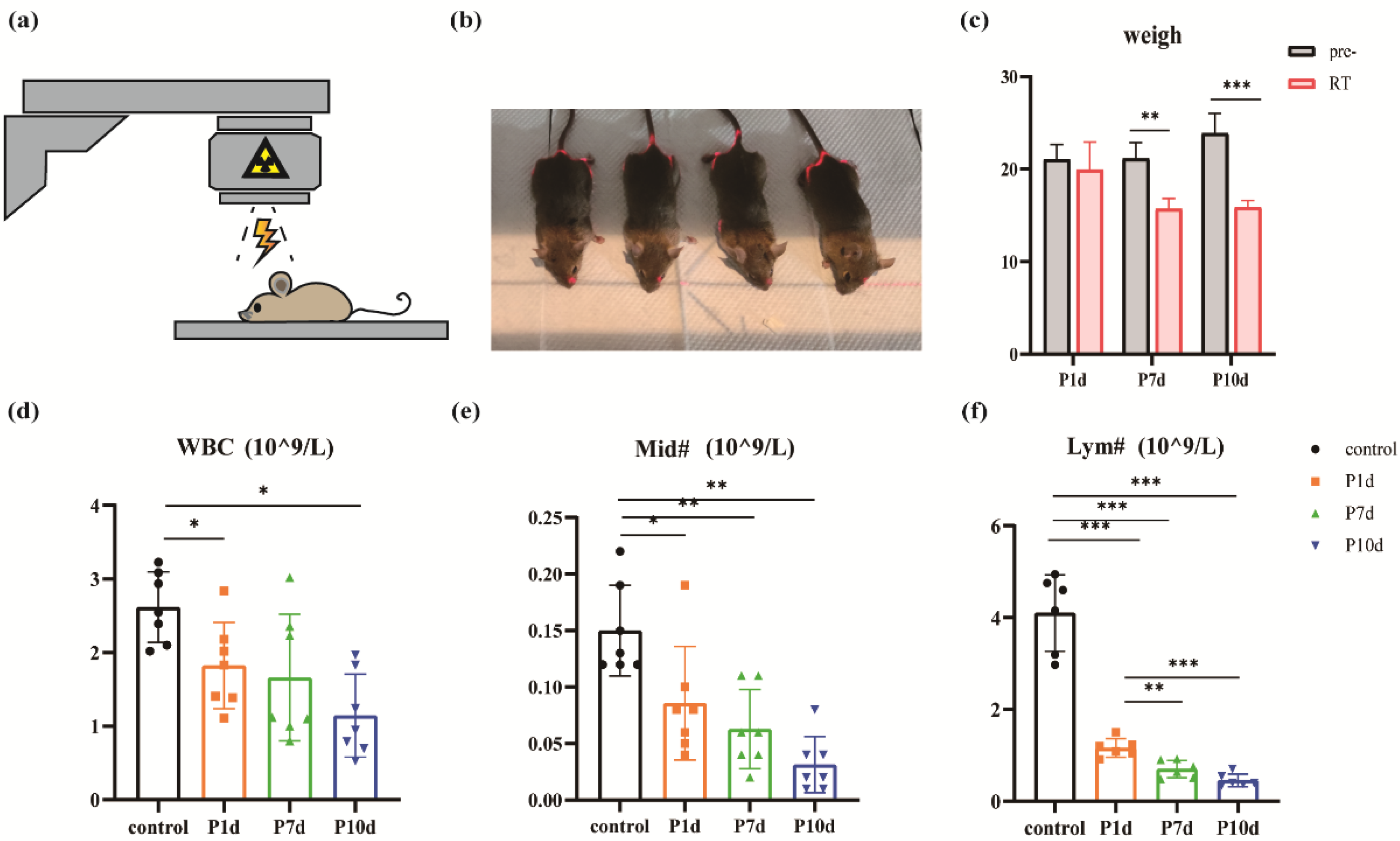 Preprints 96877 g001