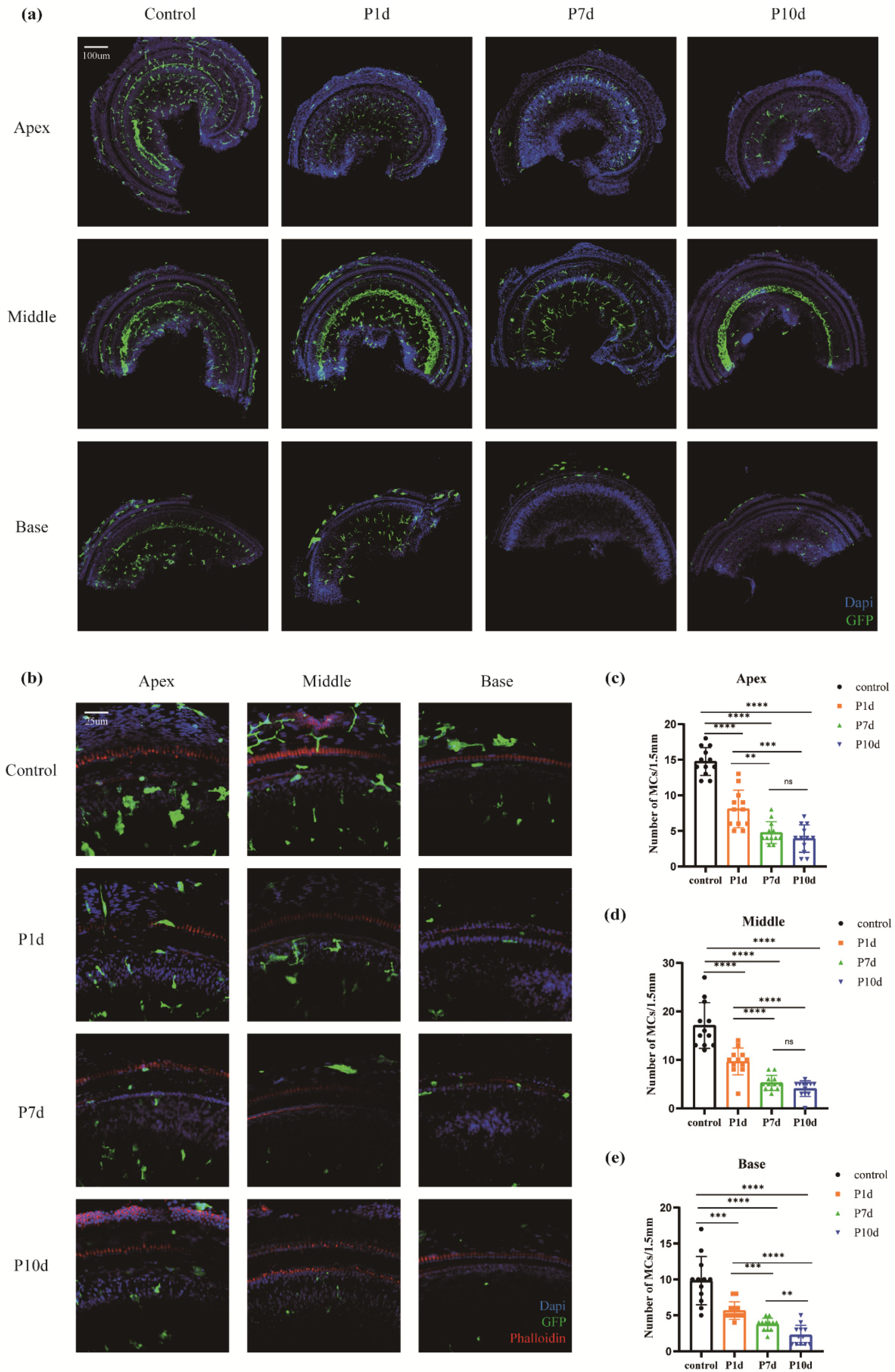 Preprints 96877 g002