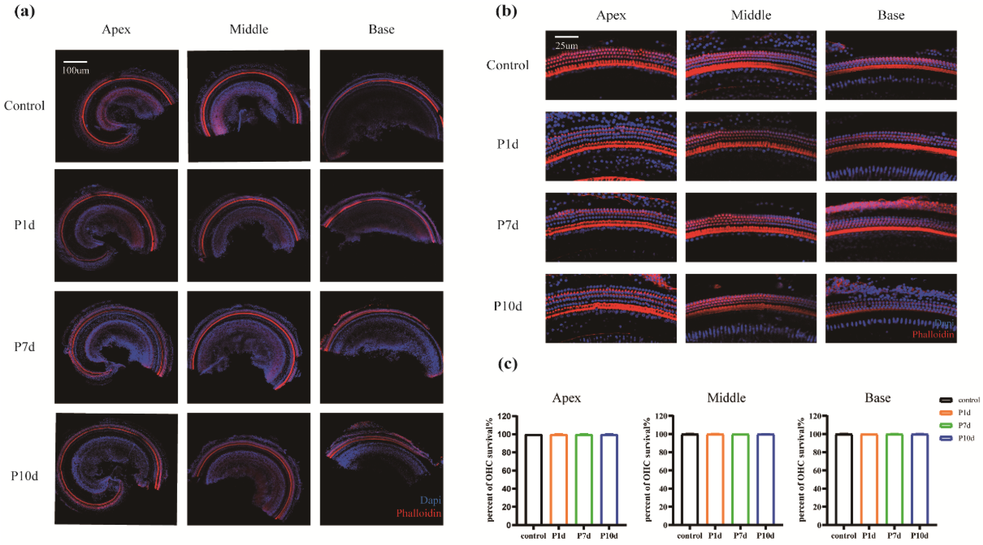 Preprints 96877 g005