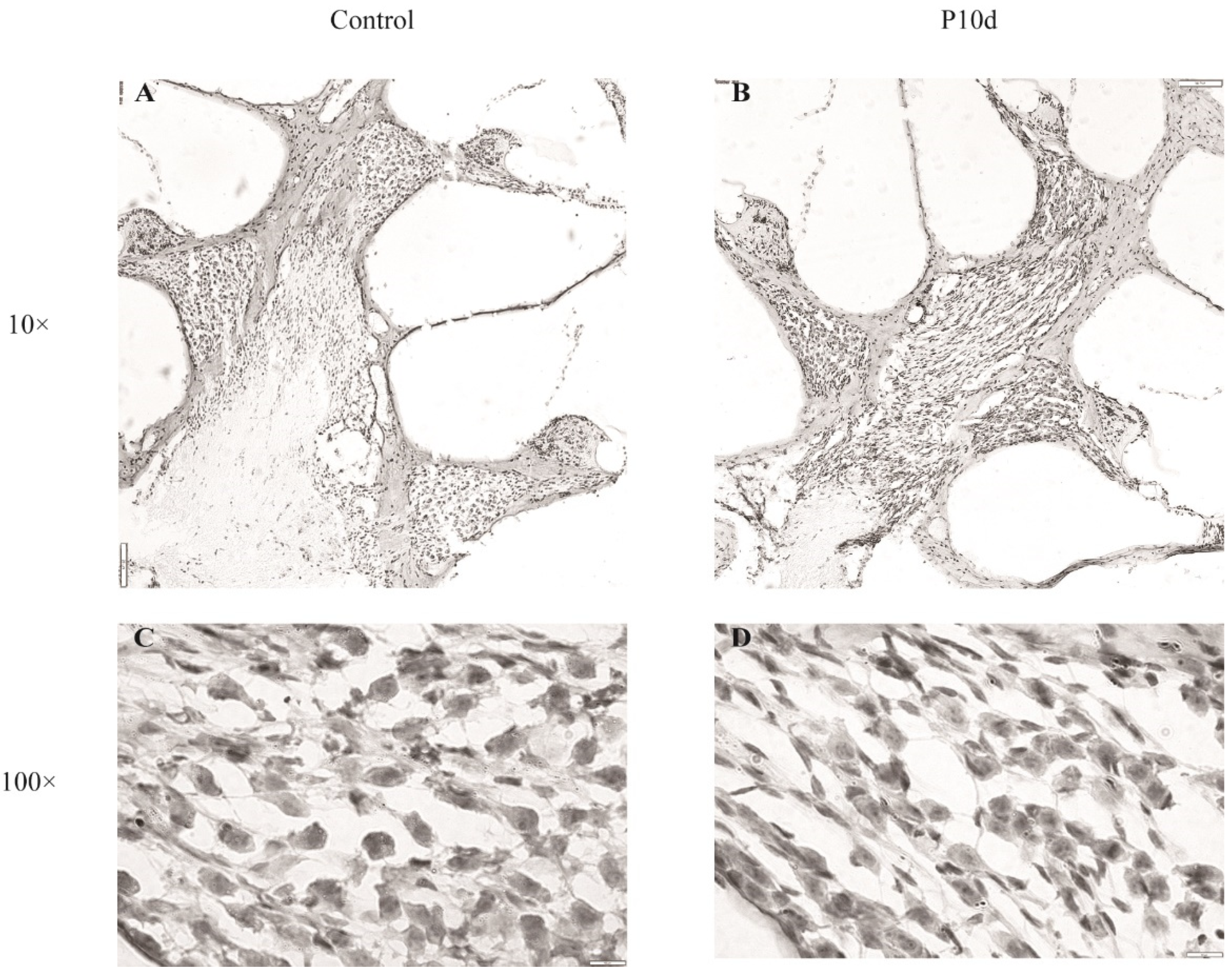 Preprints 96877 g006