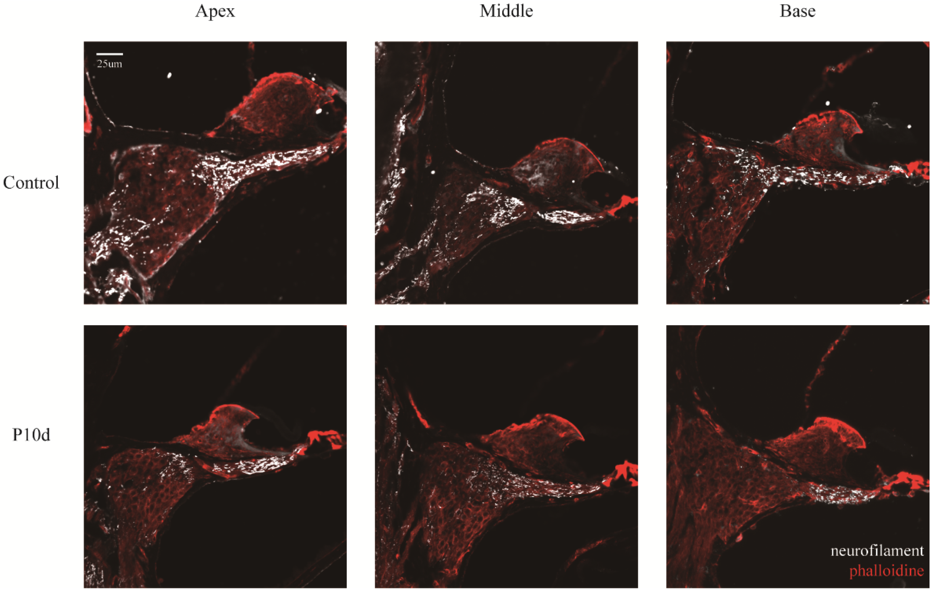 Preprints 96877 g007