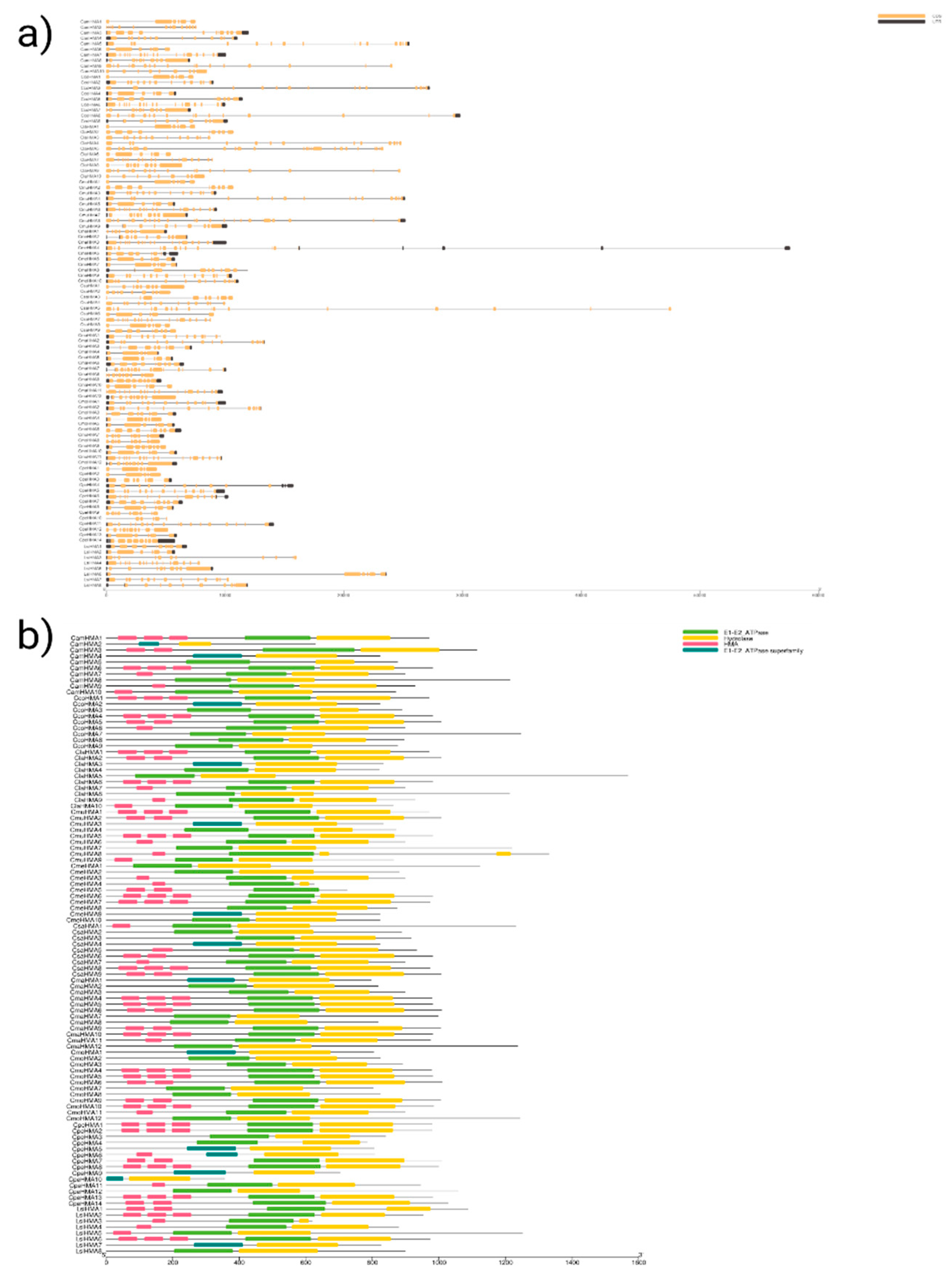 Preprints 85363 g002