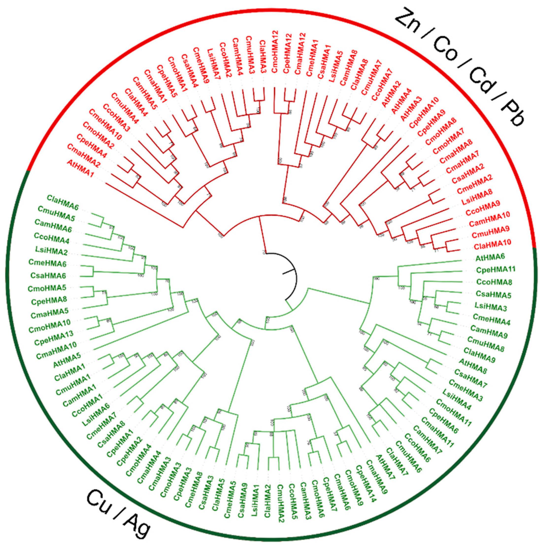 Preprints 85363 g003